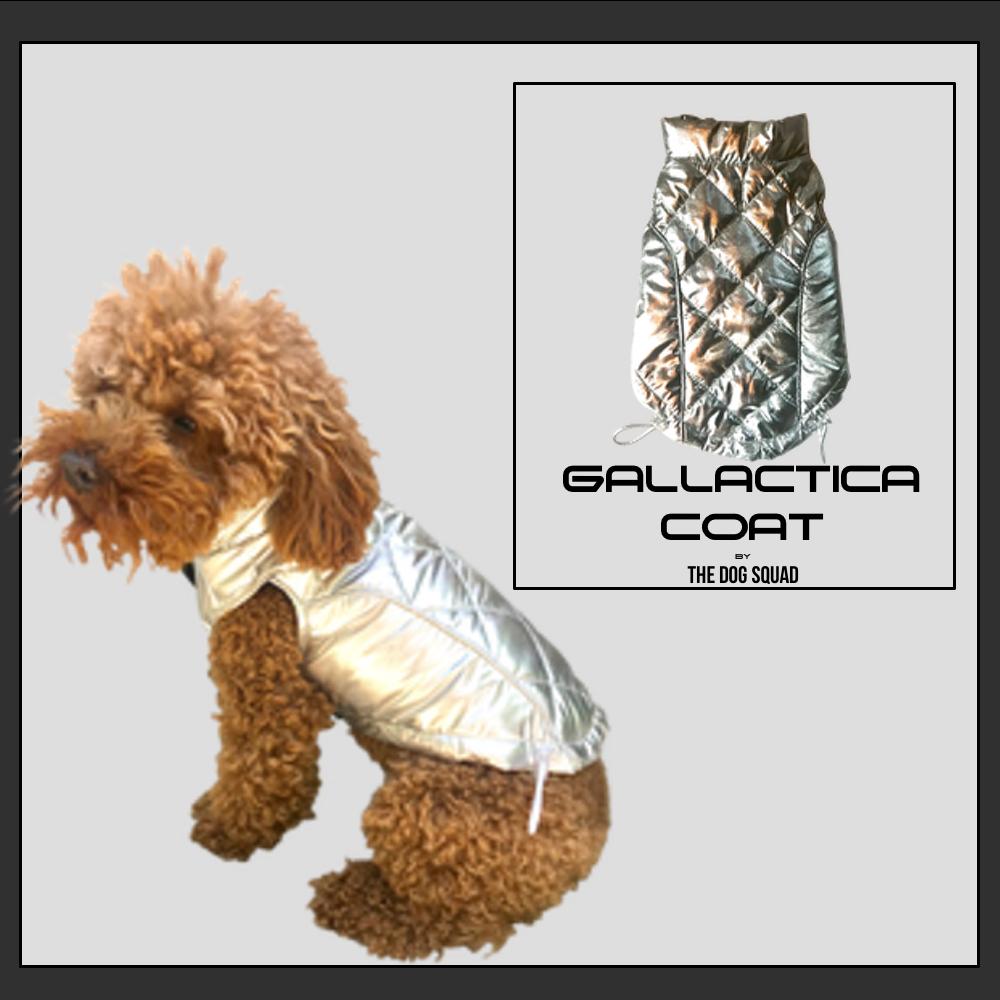 Gallactica Coat, Silver