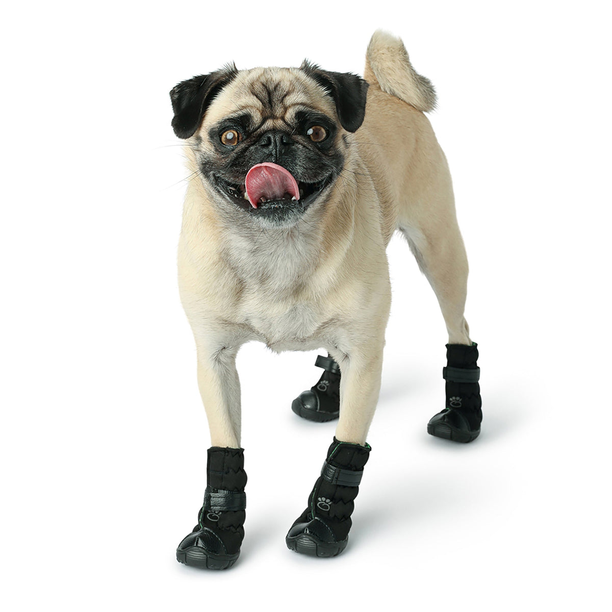 Elasto-Fit Dog Boots - Black premium pet product