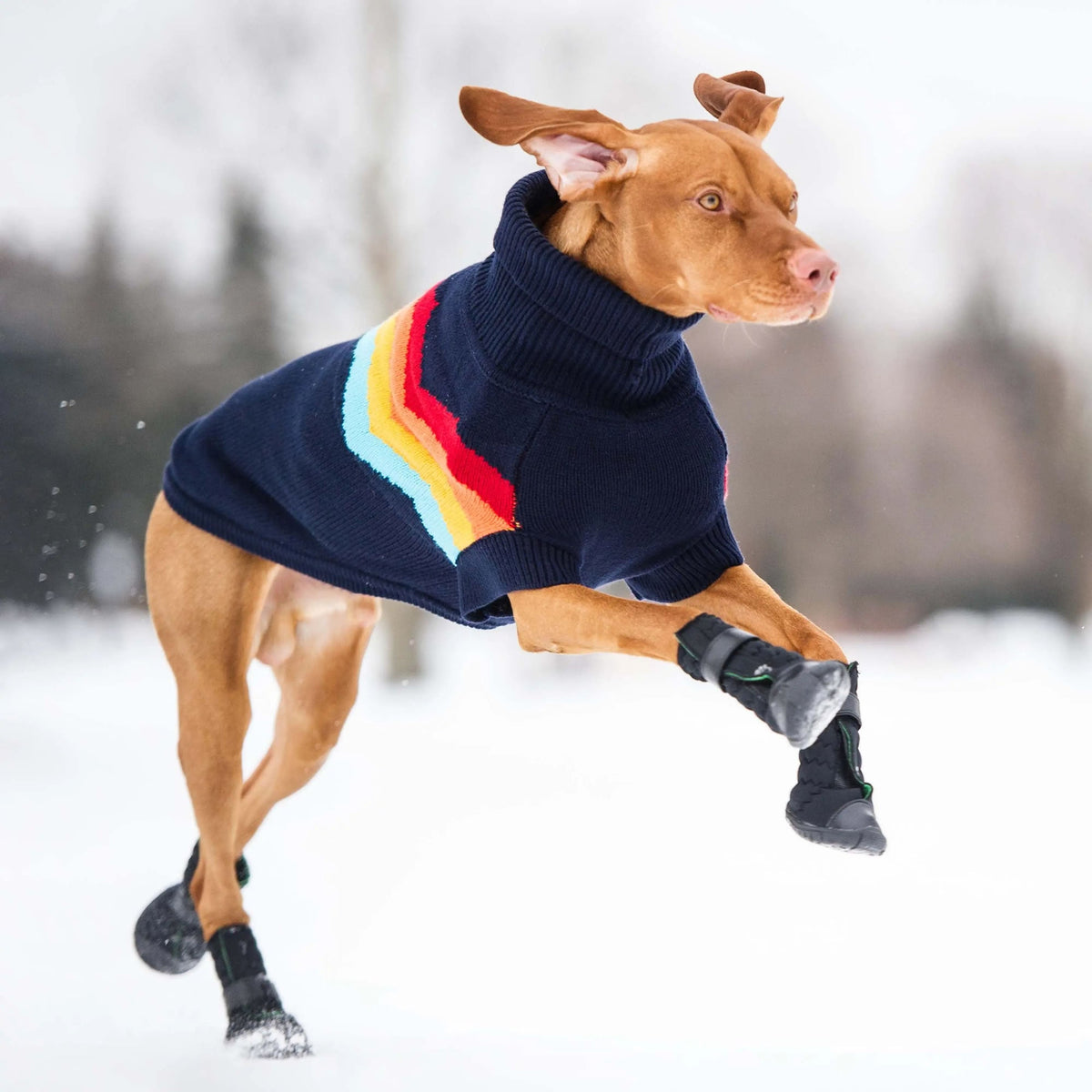 Elasto-Fit Dog Boots - Black premium pet product