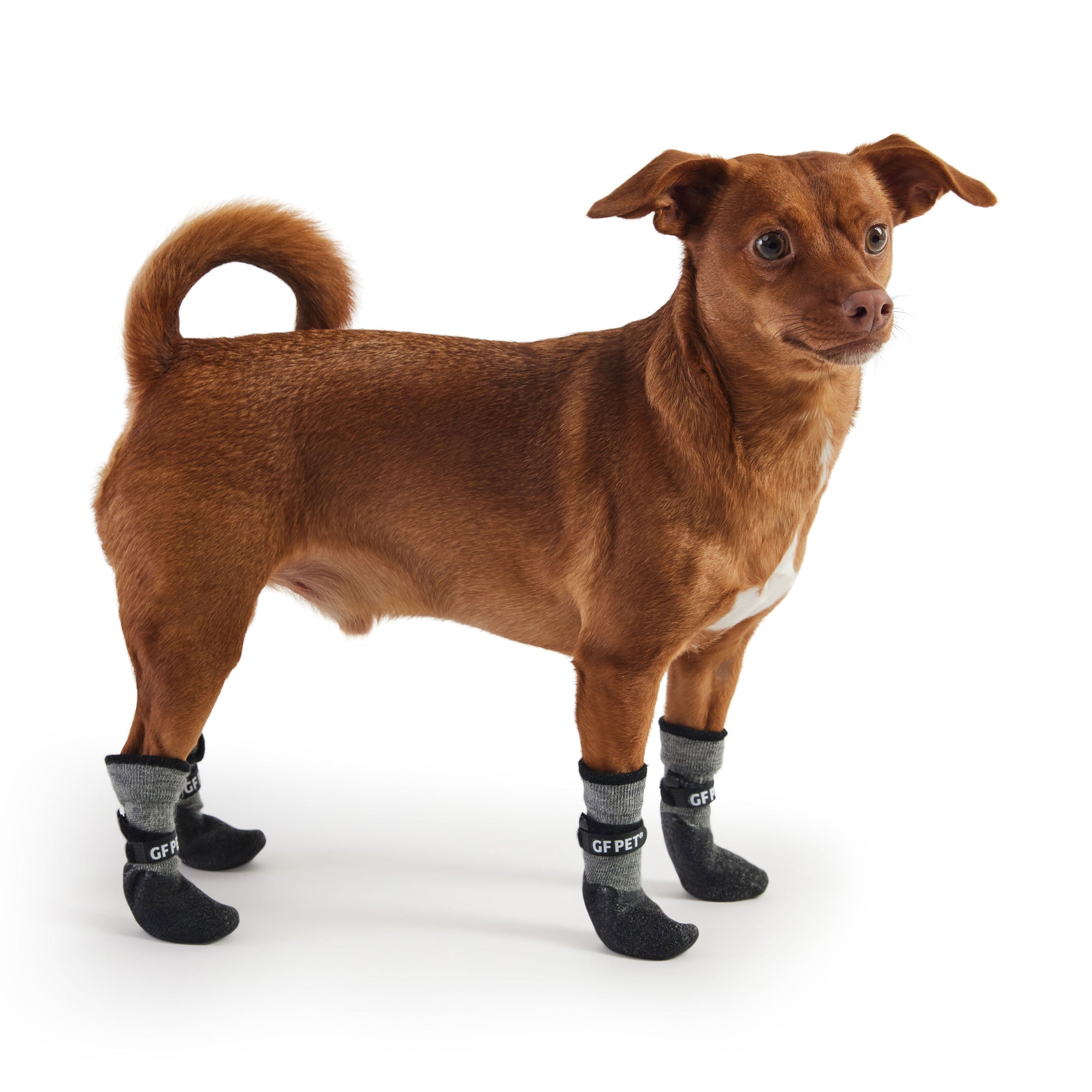 All Terrain Boots - Charcoal premium pet product