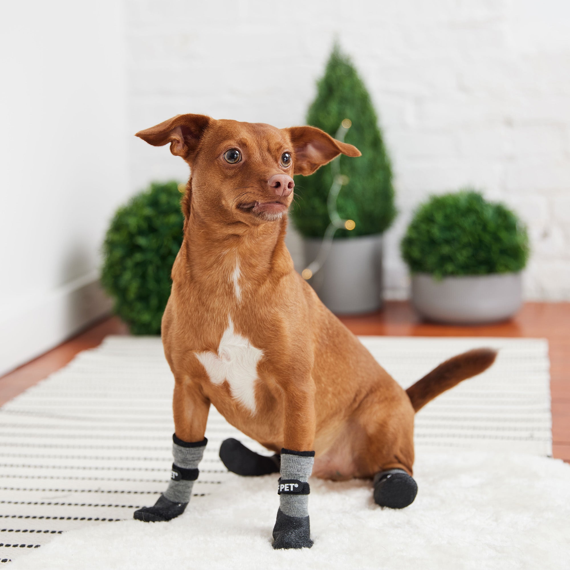 All Terrain Boots - Charcoal premium pet product