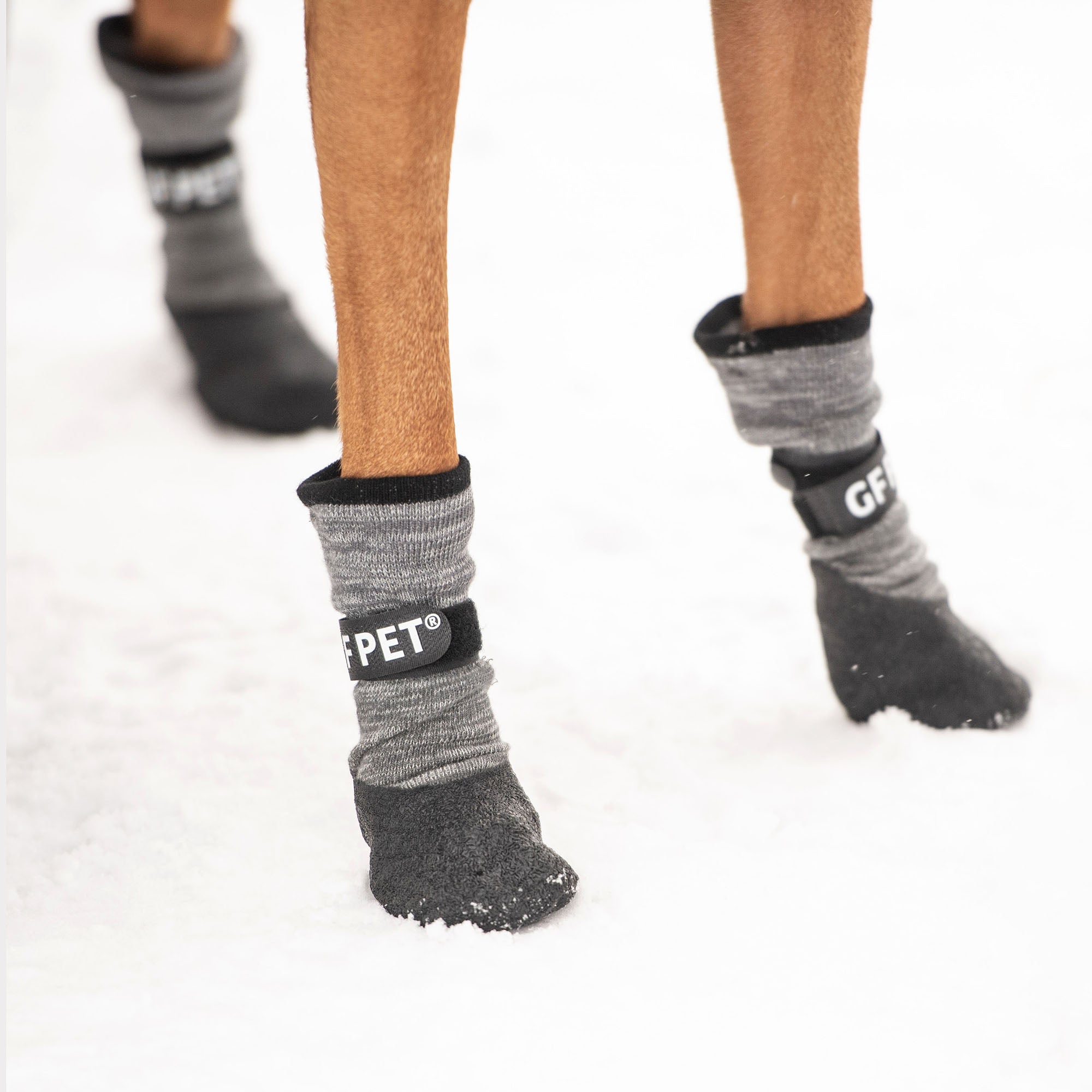 All Terrain Boots - Charcoal premium pet product