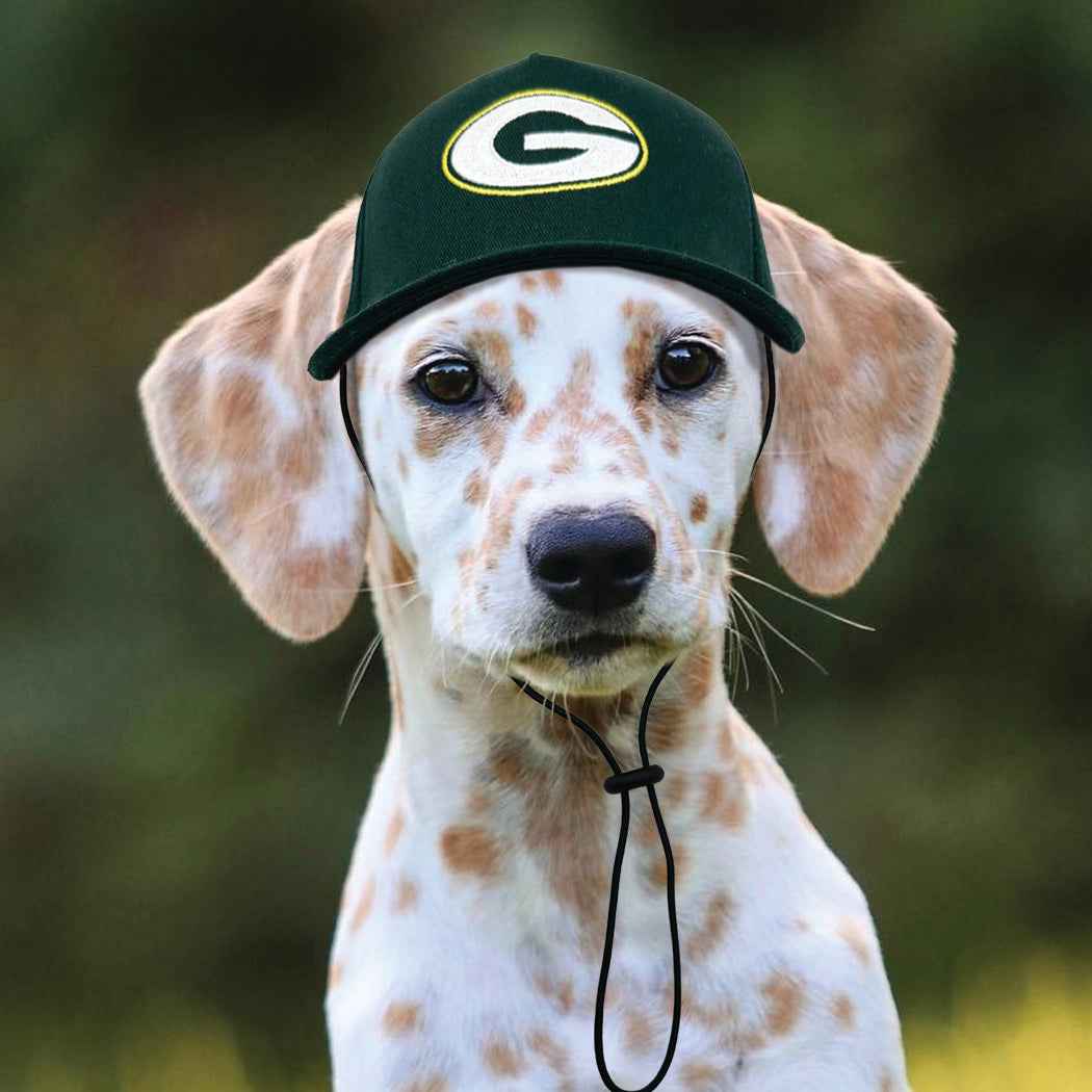 NFL Green Bay Packers Dog Hat