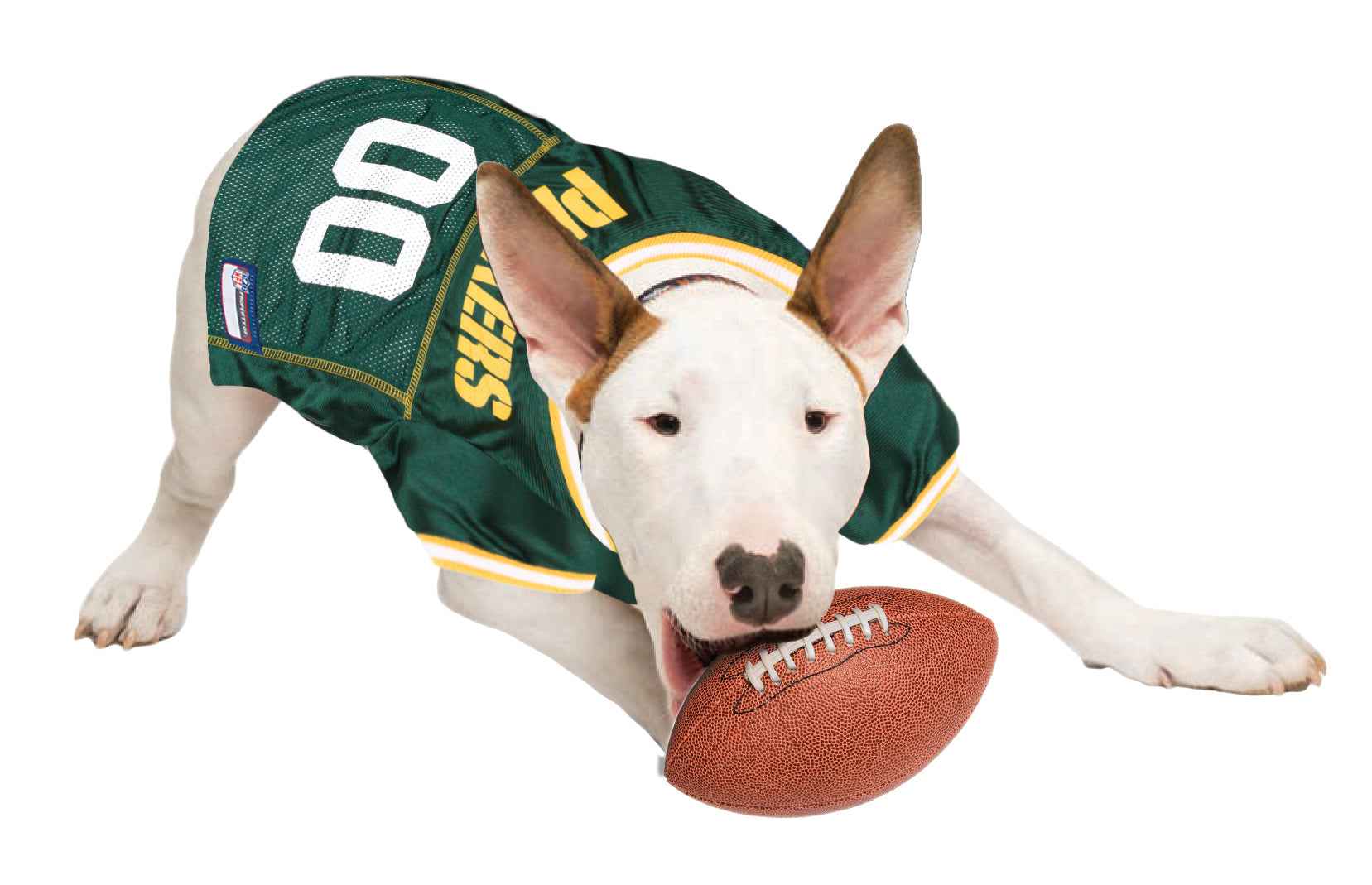 NFL Green Bay Packers Mesh Pet Jersey