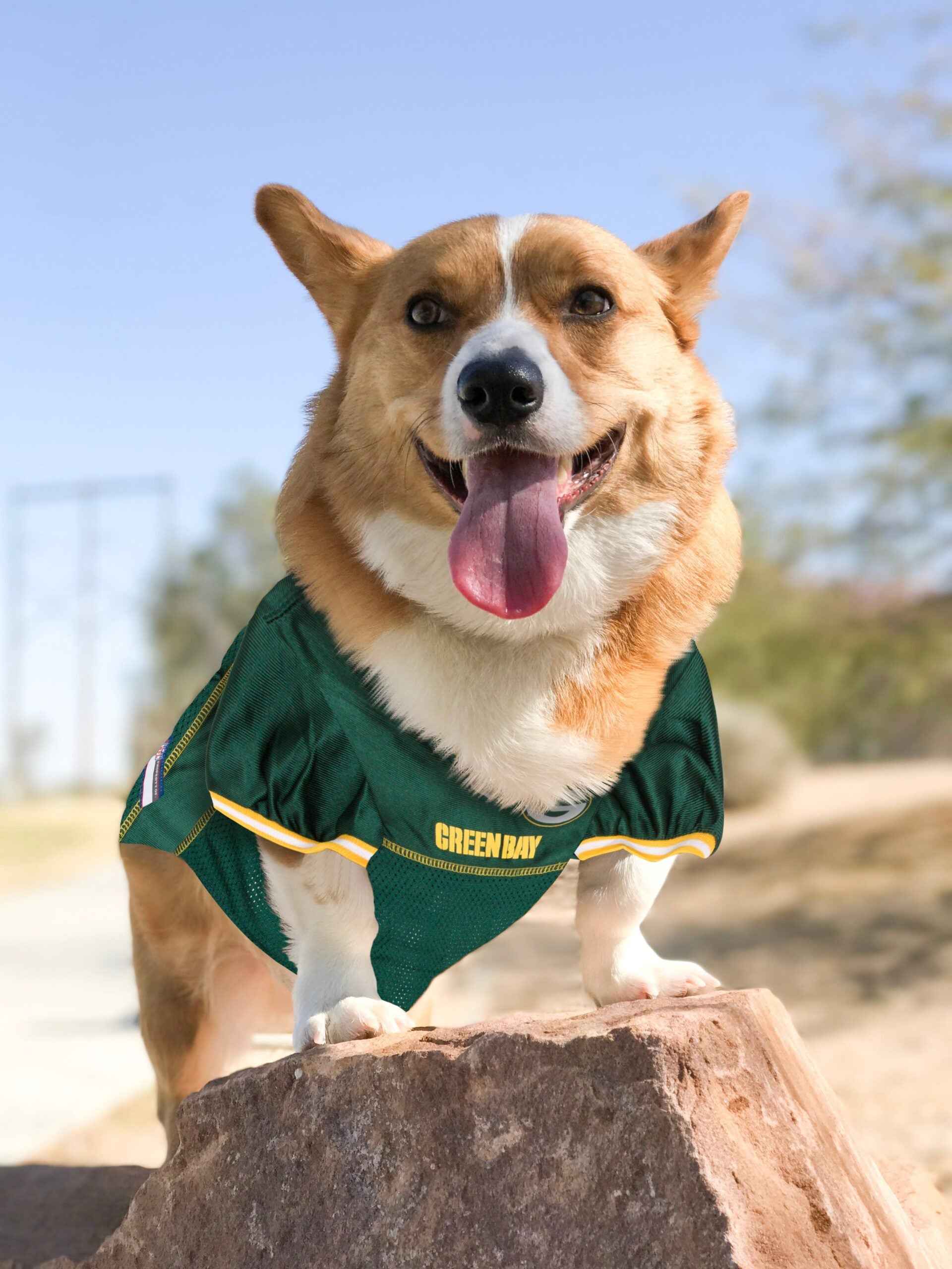 NFL Green Bay Packers Mesh Pet Jersey