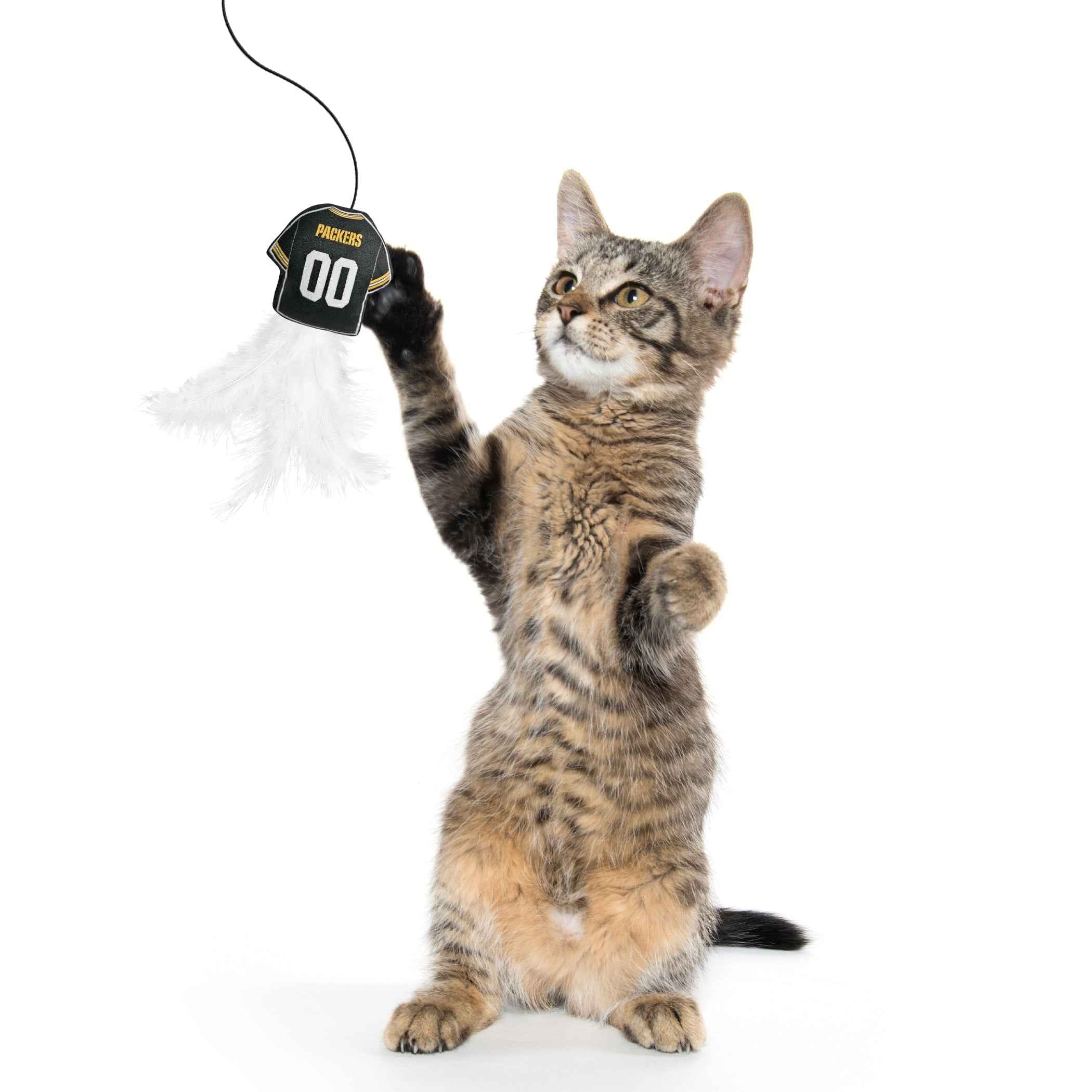 GREEN BAY PACKERS TEAM JERSEY WAND WITH CAT NIP