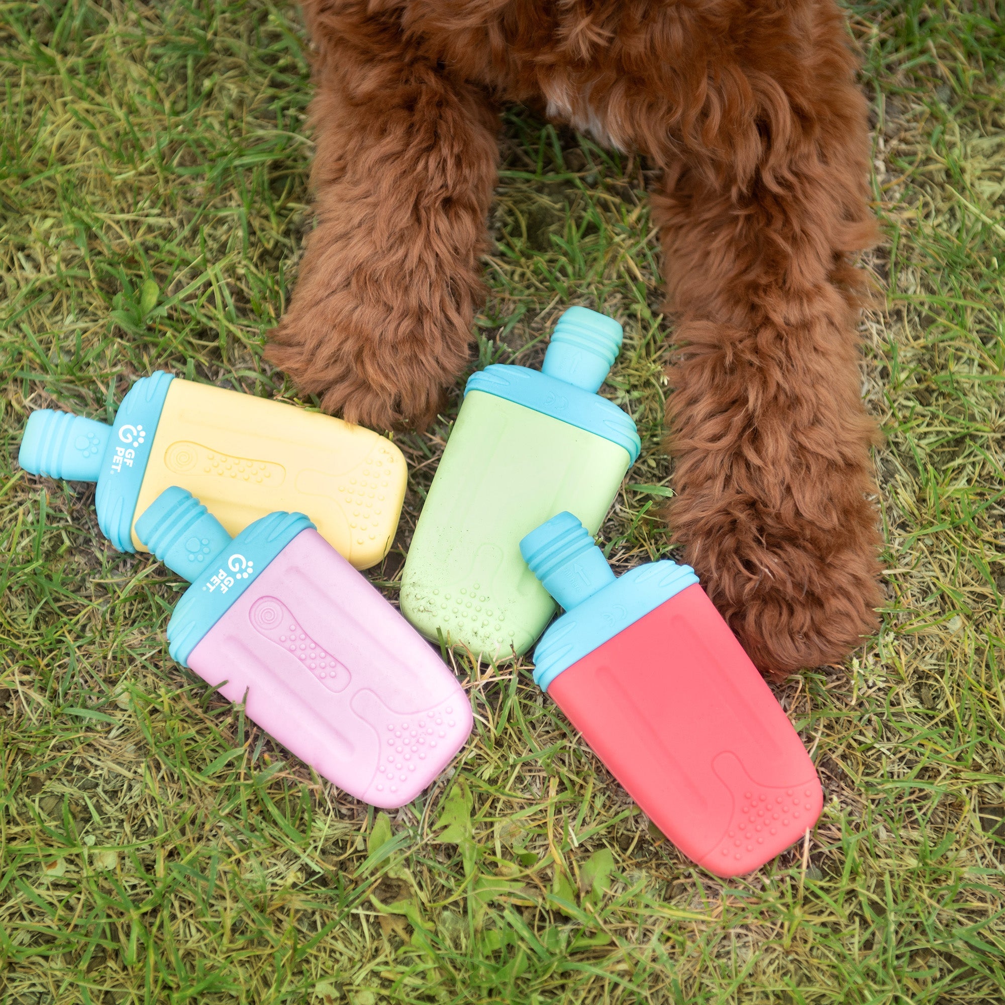 Ice Toy Display 24pcs Mix premium pet product