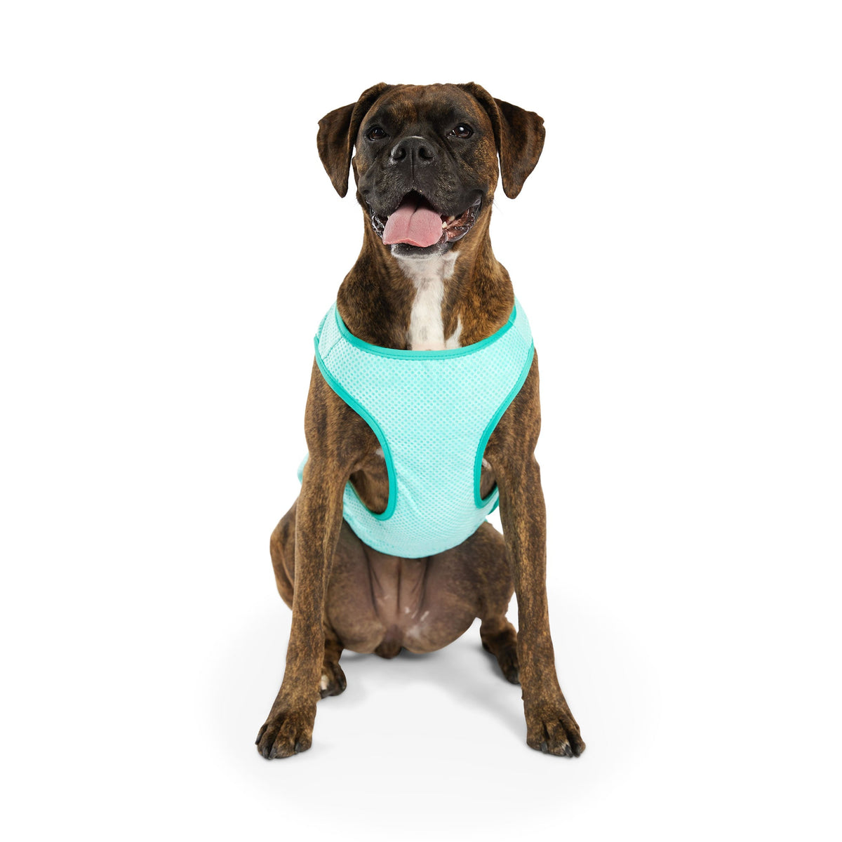 Elasto-Fit Ice Vest - Aqua premium pet product