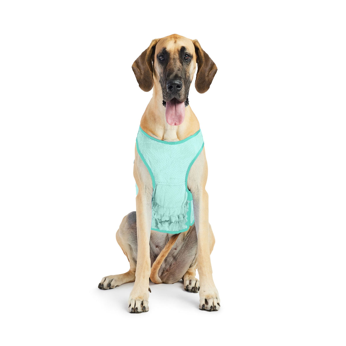 Elasto-Fit Ice Vest - Aqua premium pet product