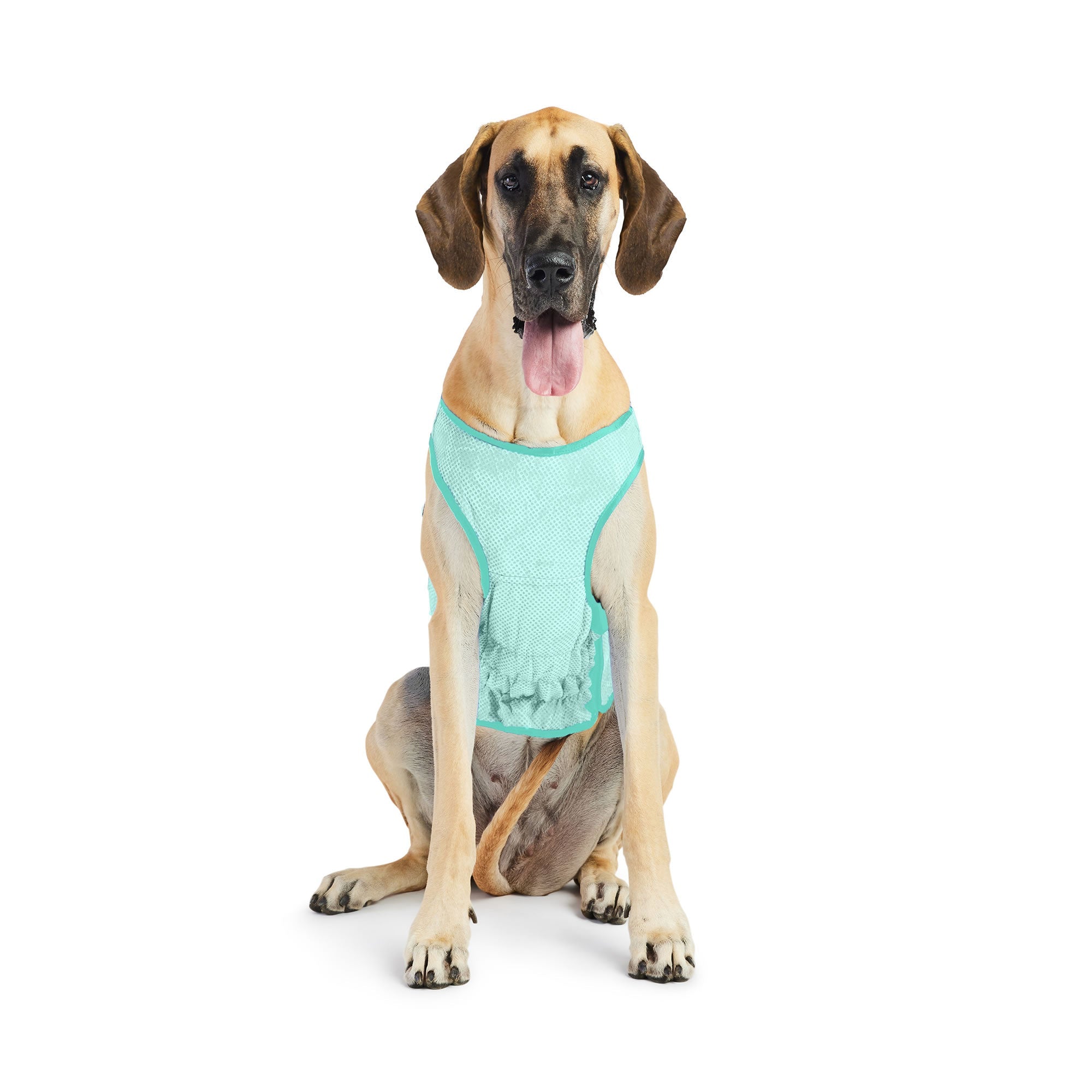 Elasto-Fit Ice Vest - Aqua premium pet product