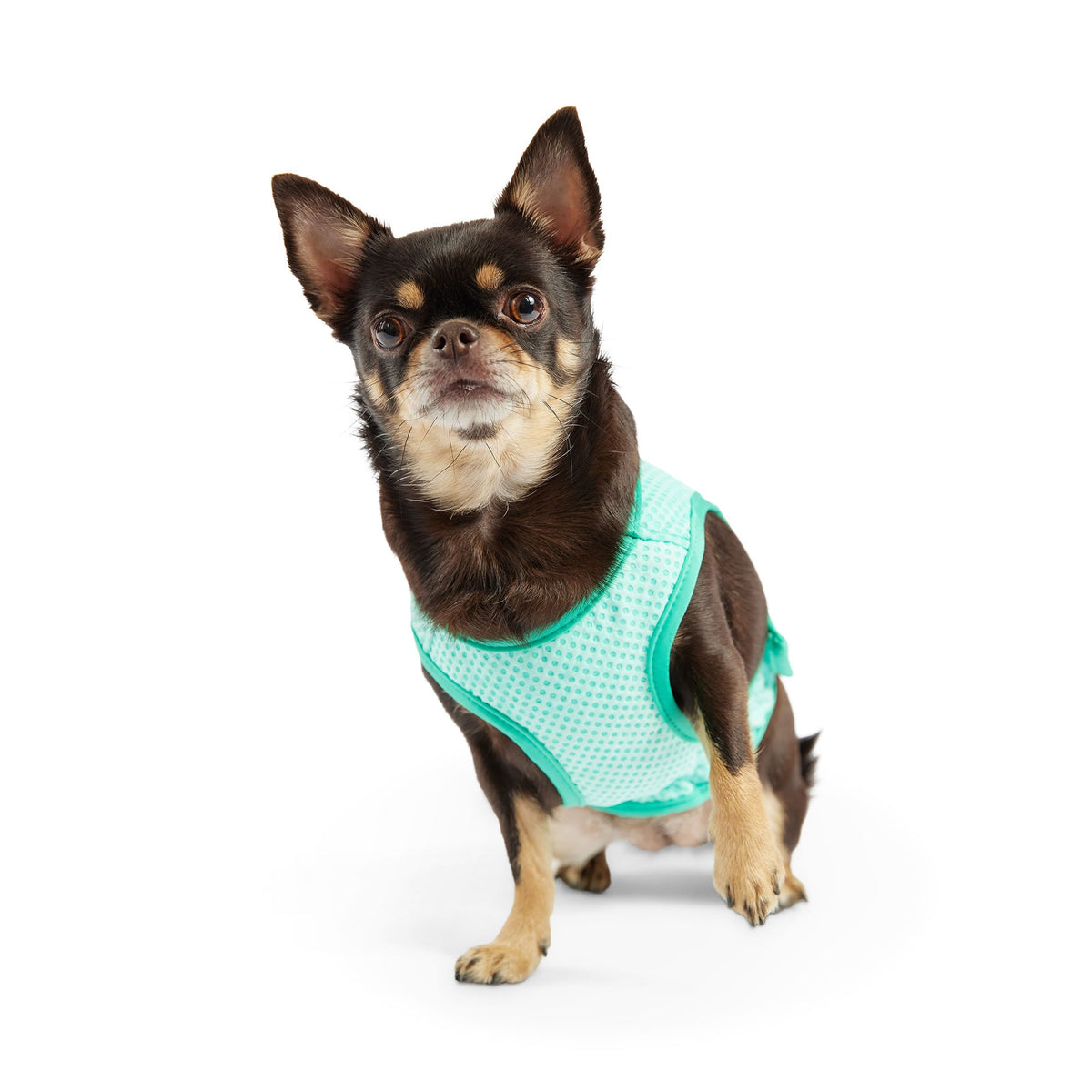 Elasto-Fit Ice Vest - Aqua premium pet product