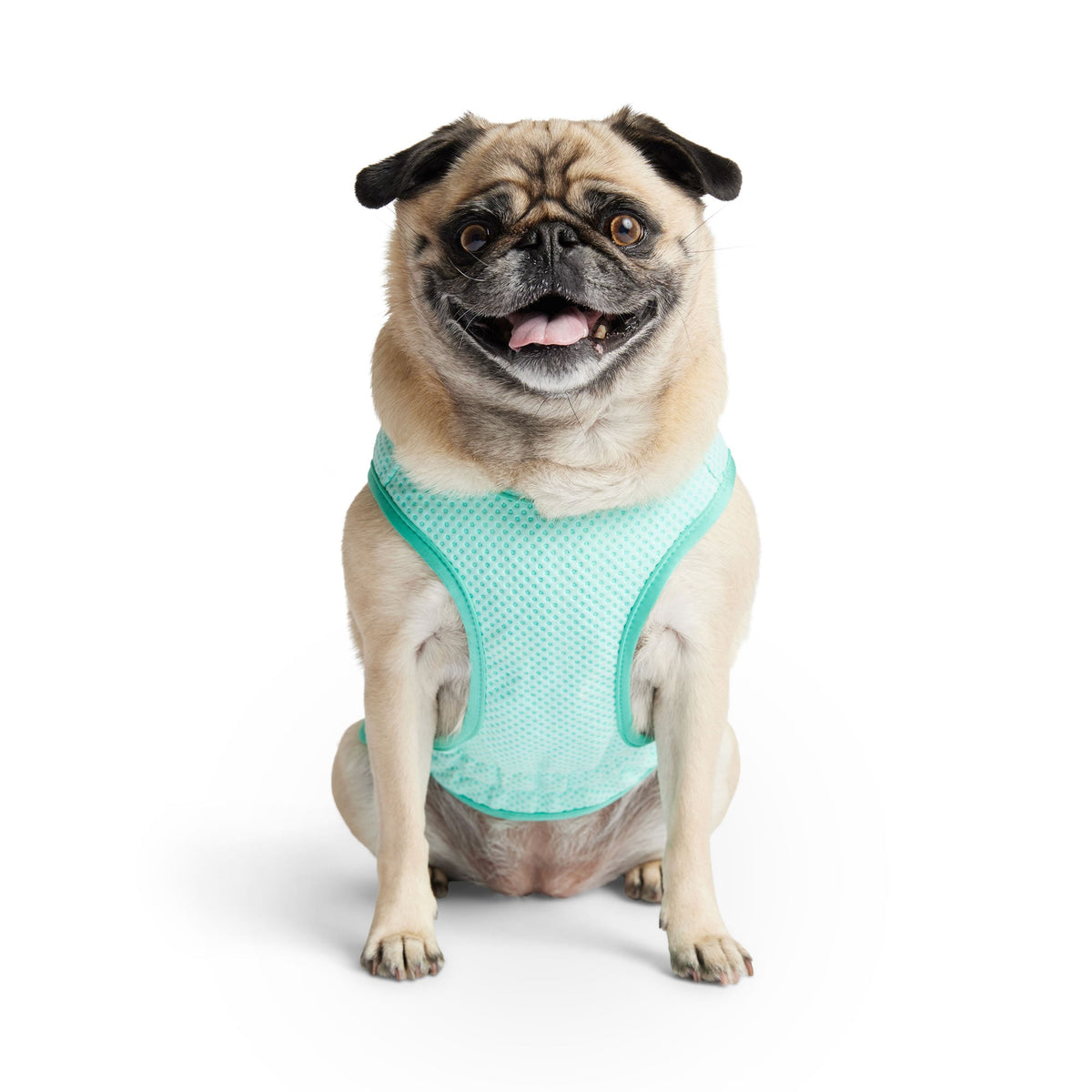 Elasto-Fit Ice Vest - Aqua premium pet product