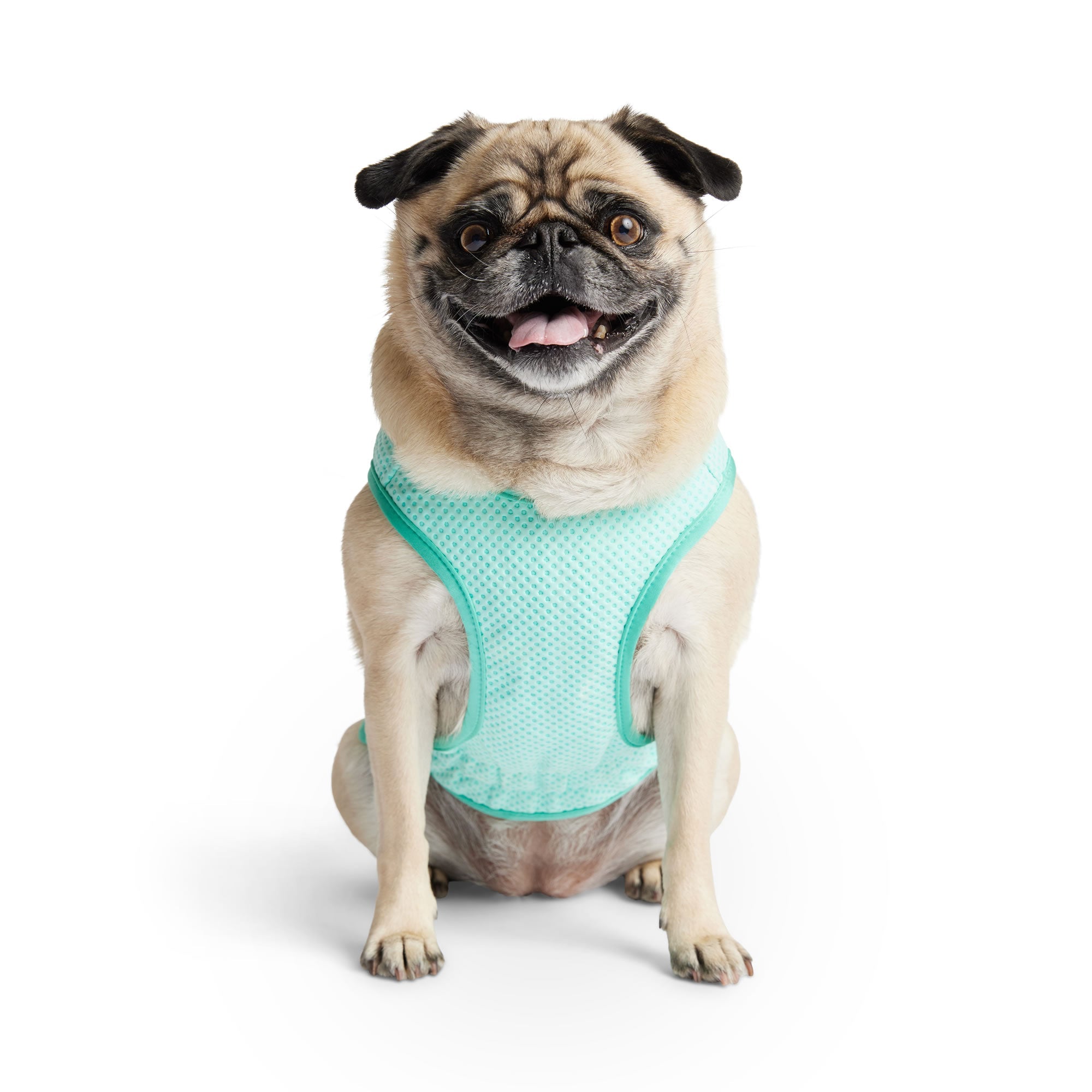 Elasto-Fit Ice Vest - Aqua premium pet product