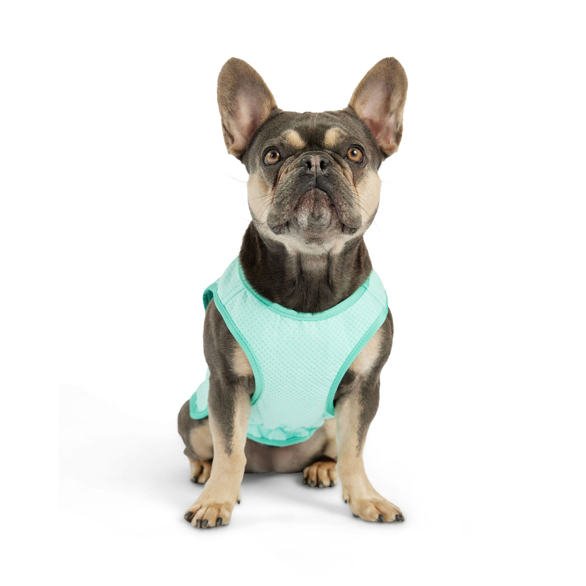 Elasto-Fit Ice Vest - Aqua premium pet product
