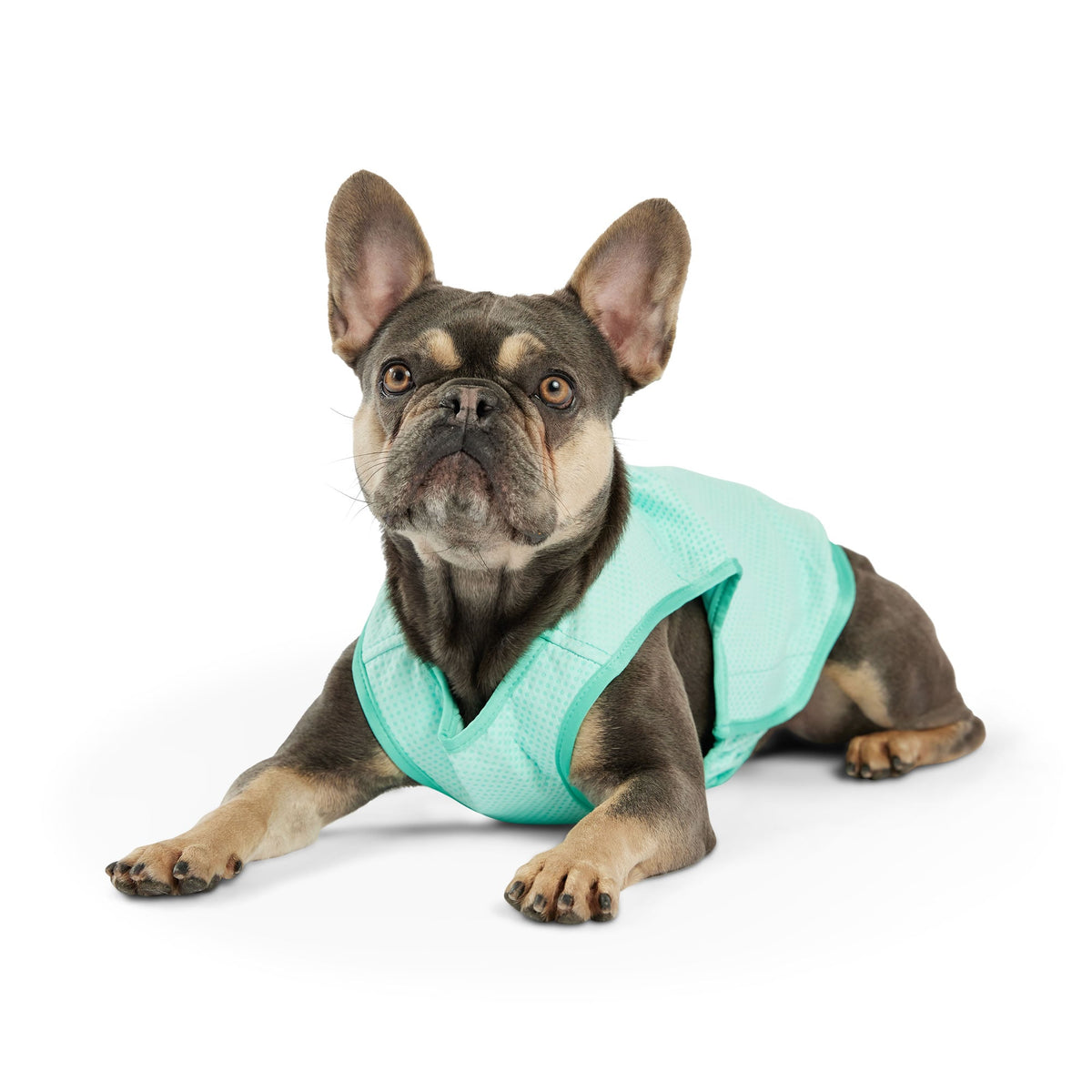 Elasto-Fit Ice Vest - Aqua premium pet product