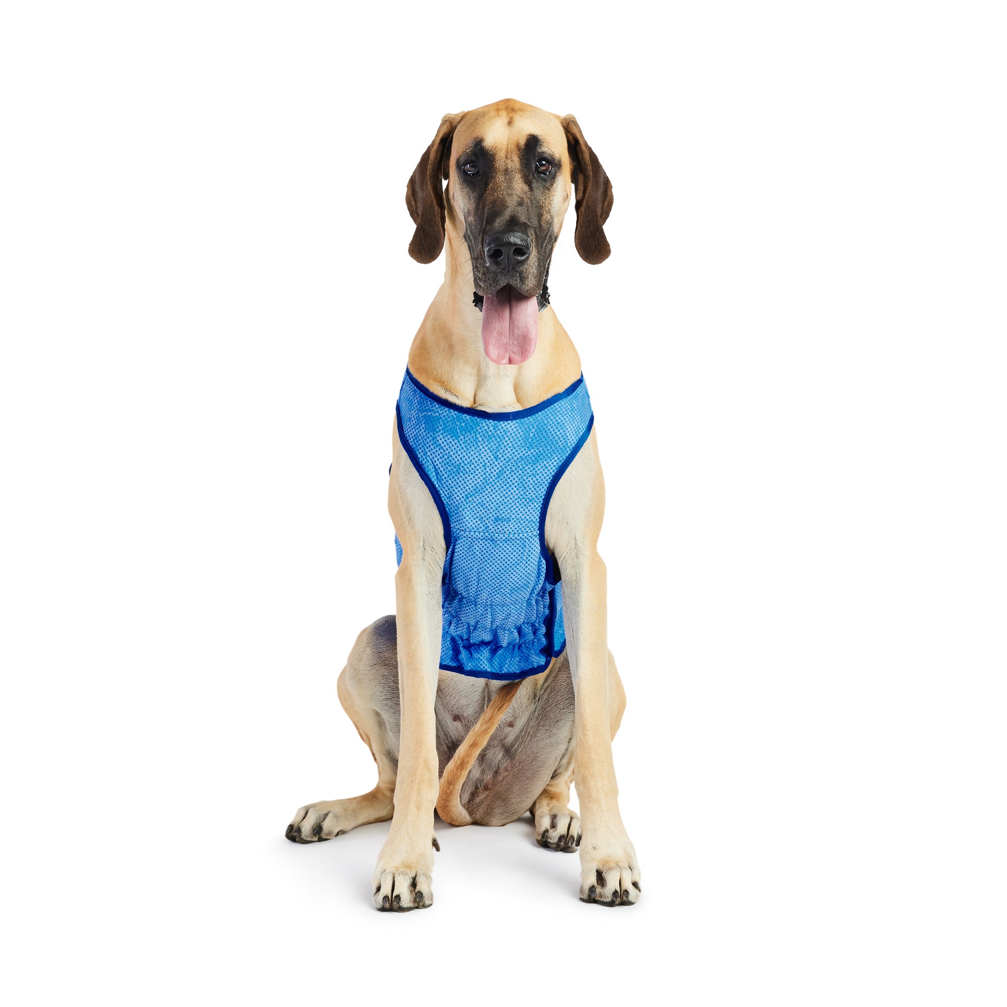 Elasto-Fit Ice Vest - Blue premium pet product