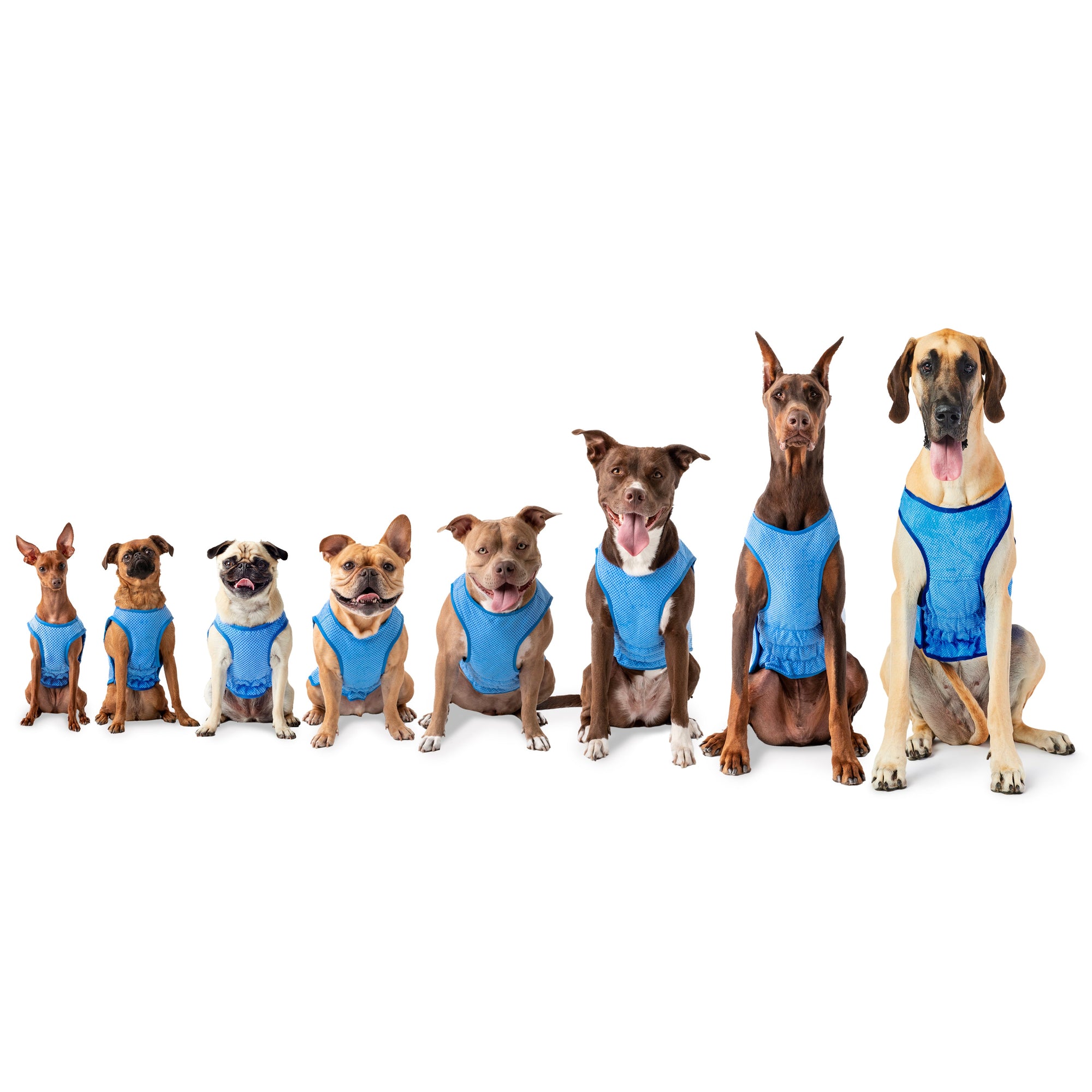 Elasto-Fit Ice Vest - Blue premium pet product