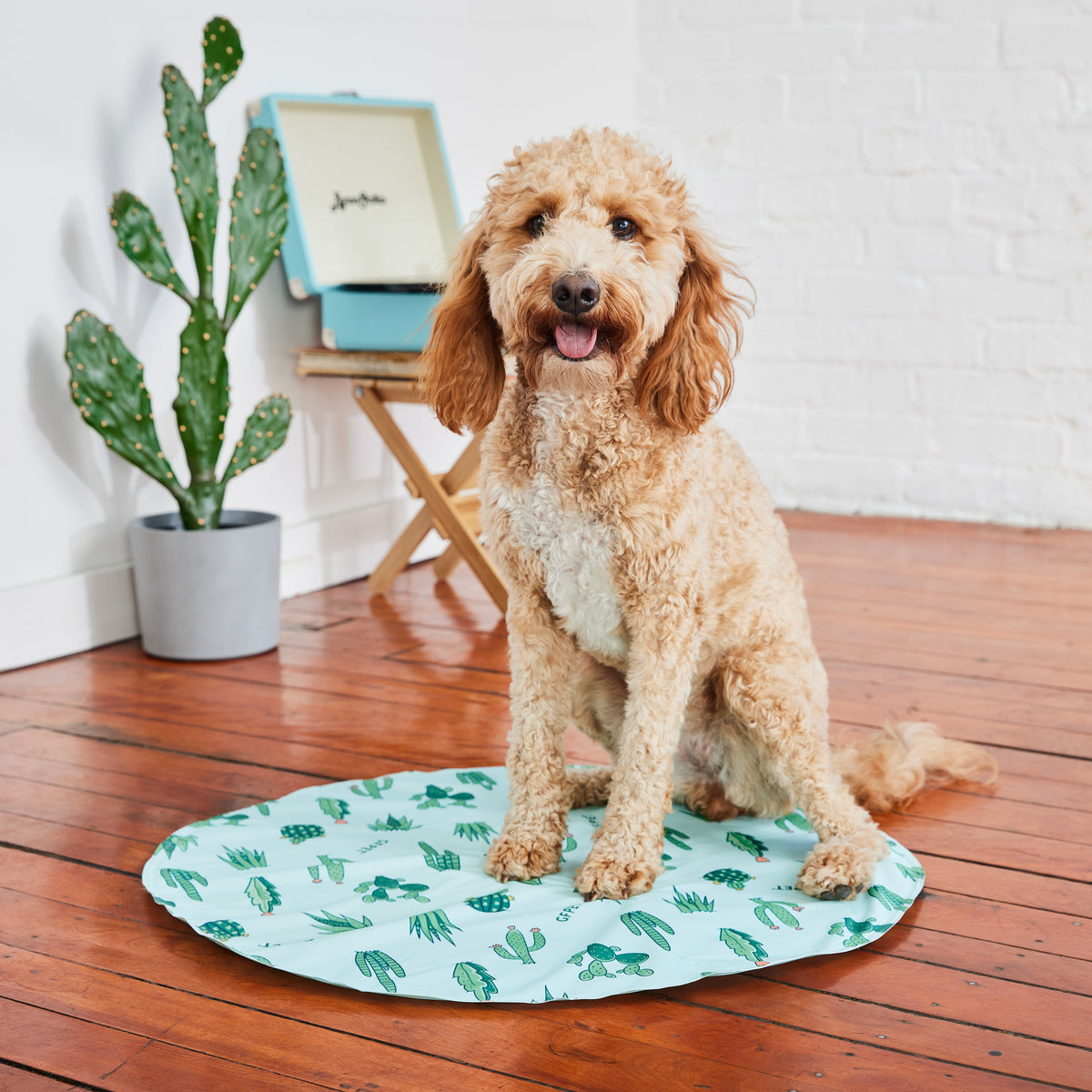 GF Pet Ice Mat premium pet product
