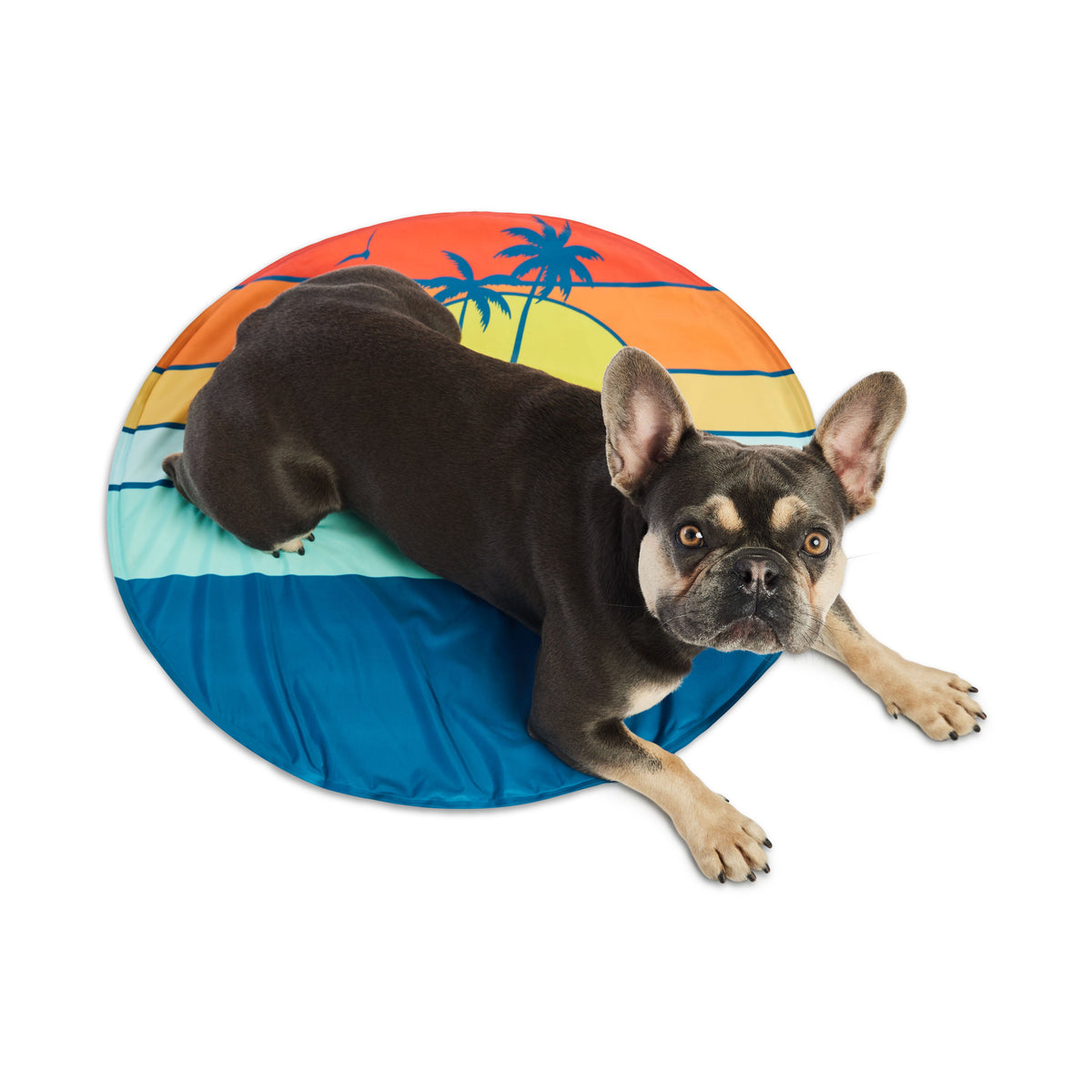 GF Pet Ice Mat premium pet product