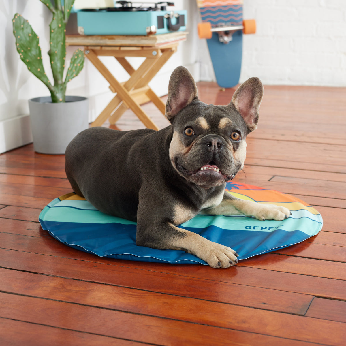 GF Pet Ice Mat premium pet product