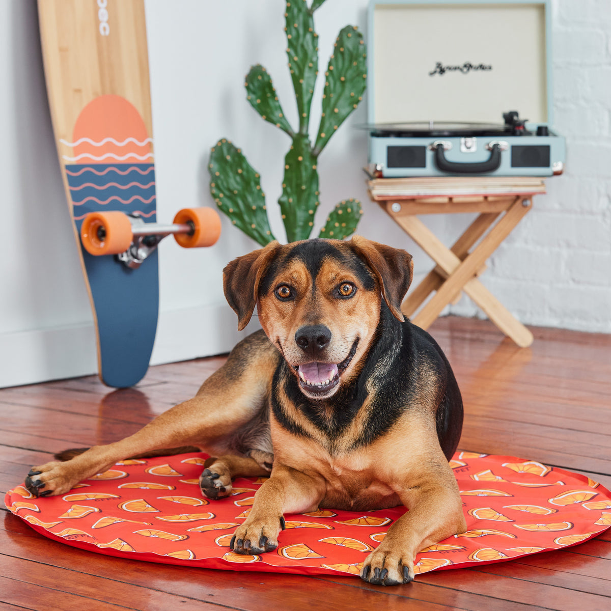 GF Pet Ice Mat premium pet product