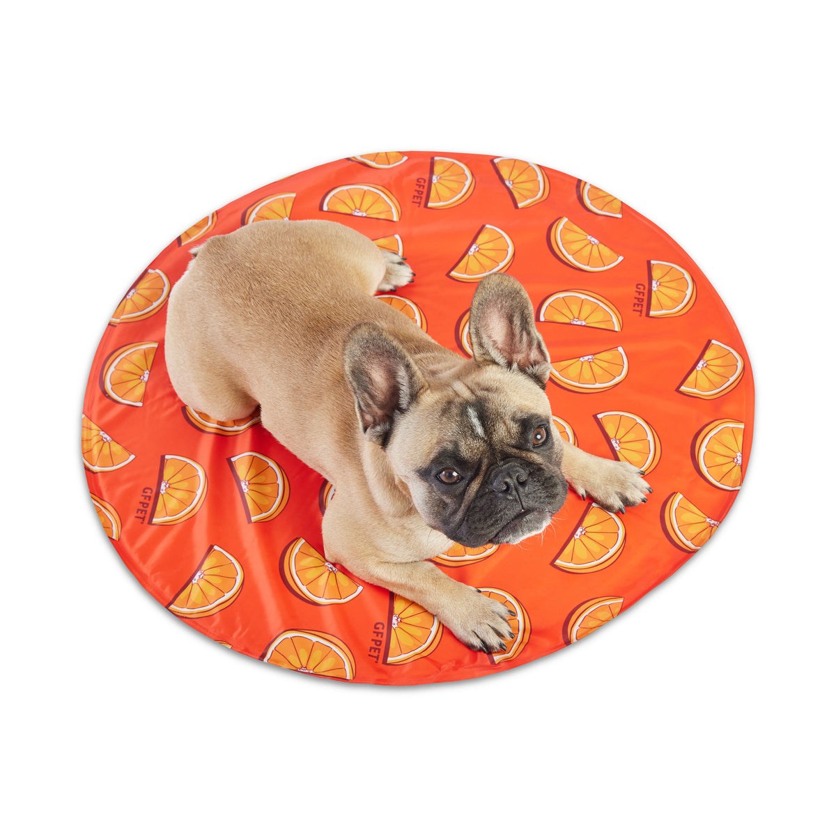 GF Pet Ice Mat premium pet product