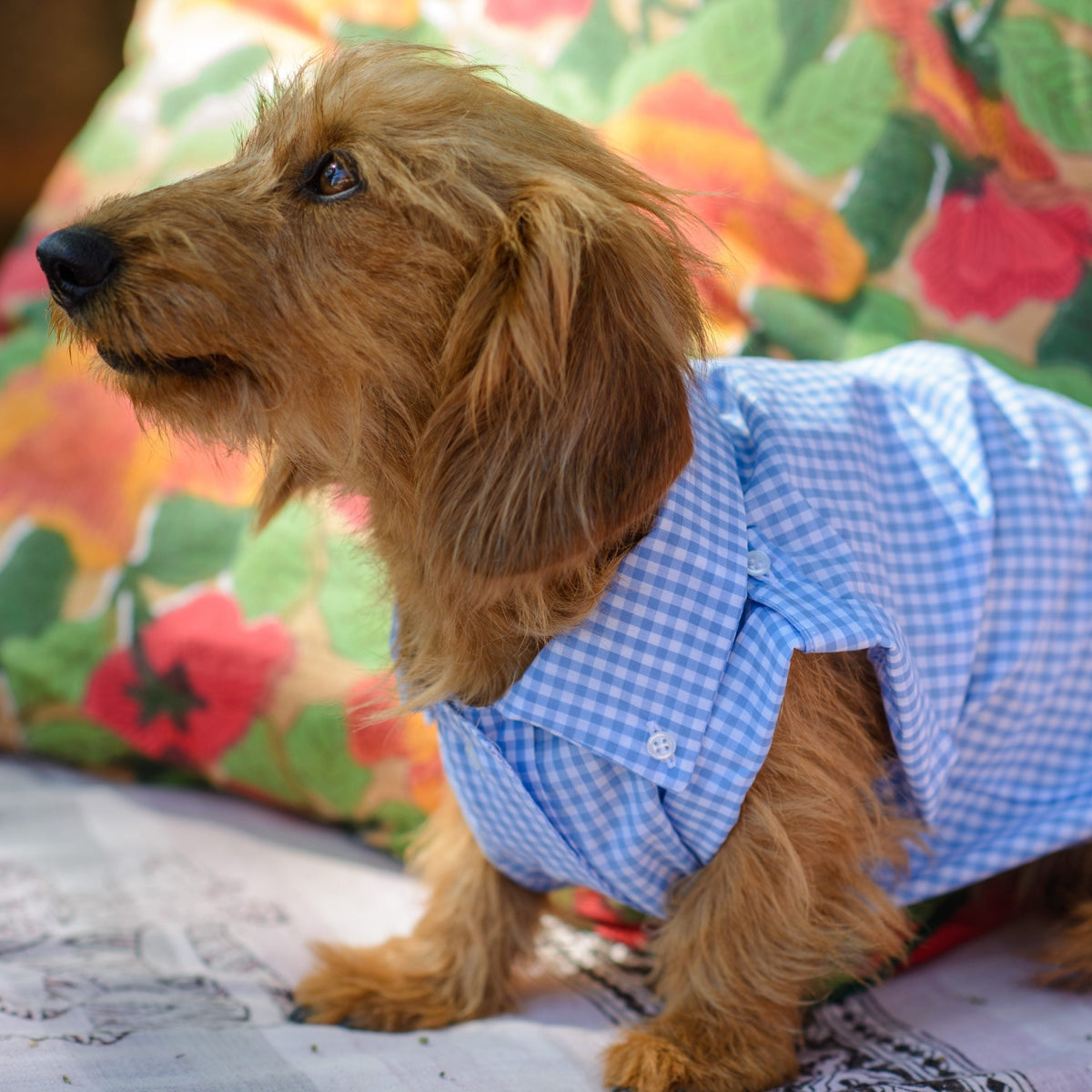 Checked Shirt