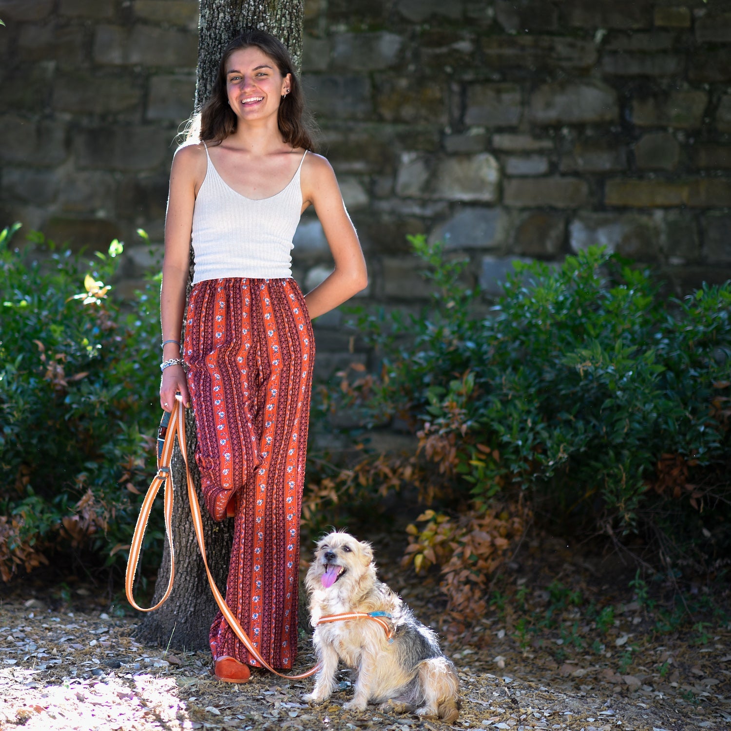 Multi Nubuck Celestial-Leash