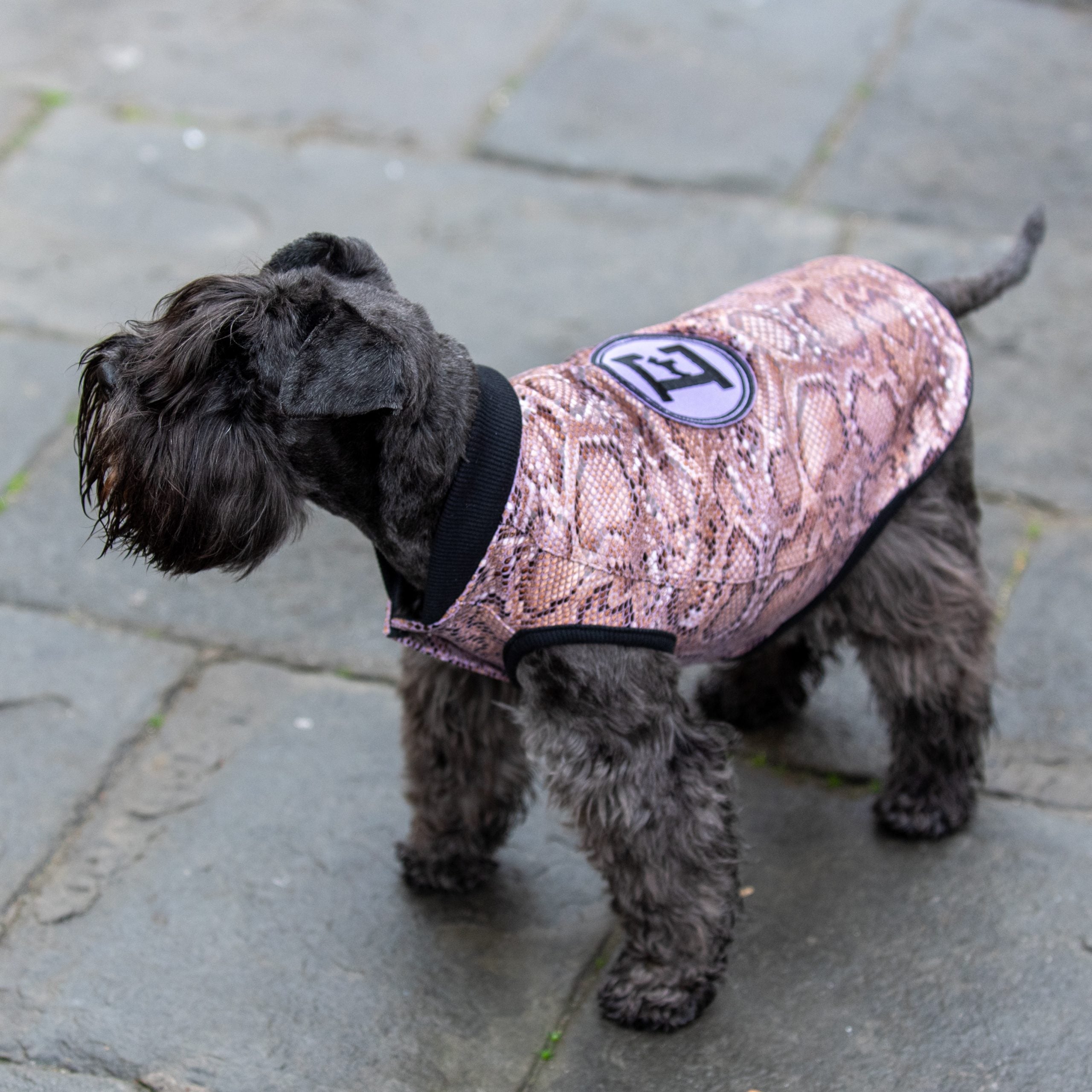 Lilac-Python Bomber