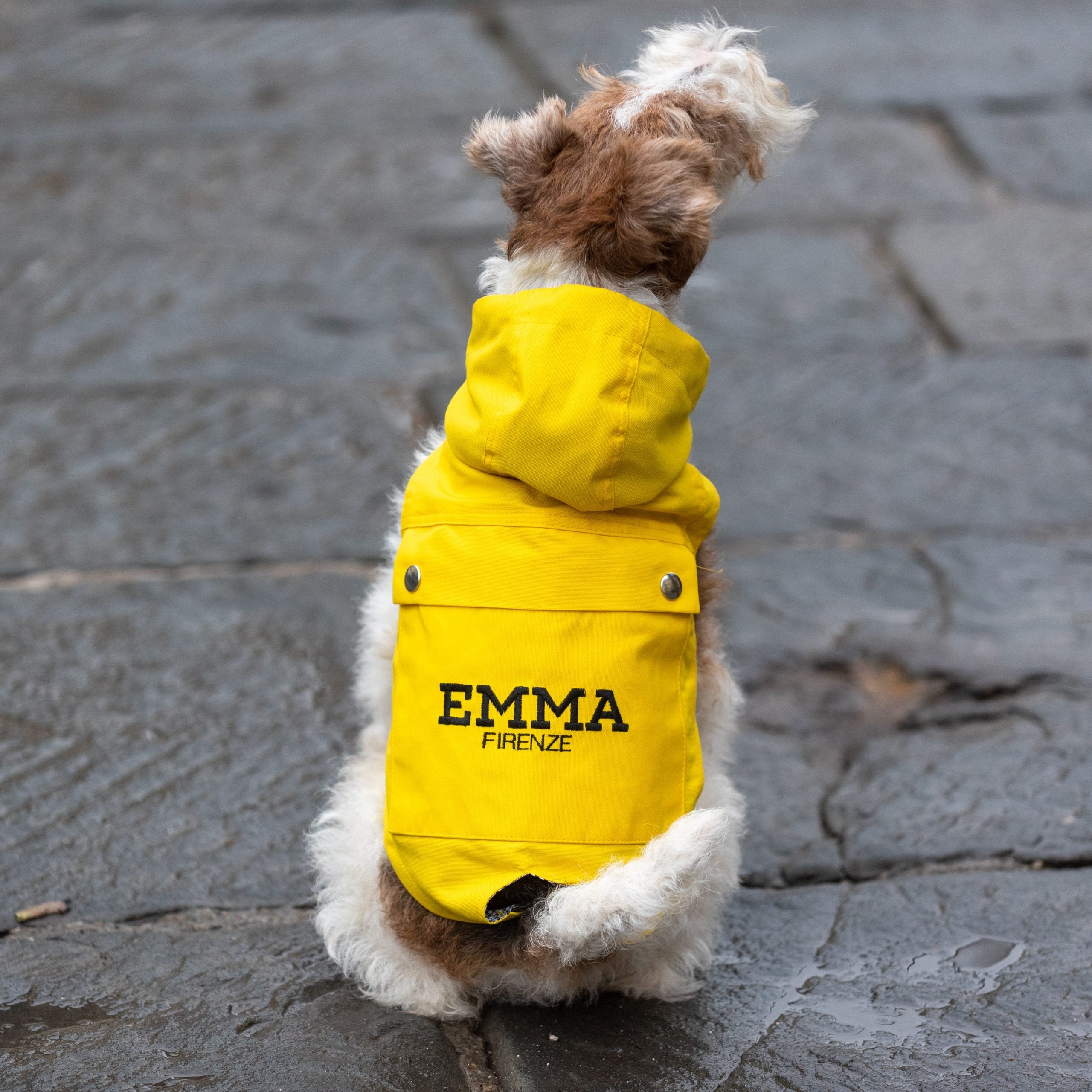 Firedog Rain-Coat