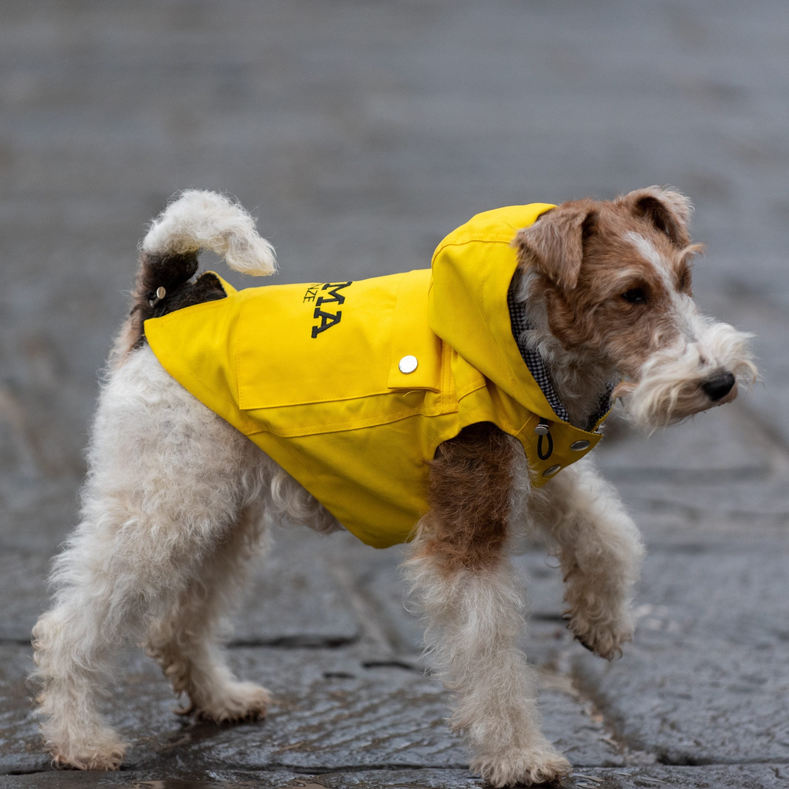 Firedog Rain-Coat