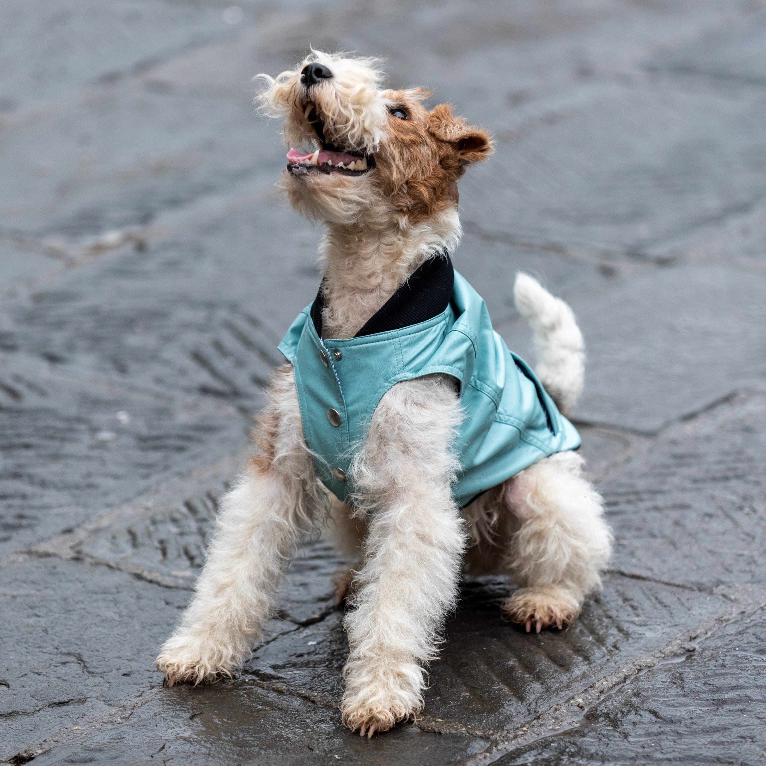 College At Tiffany'S