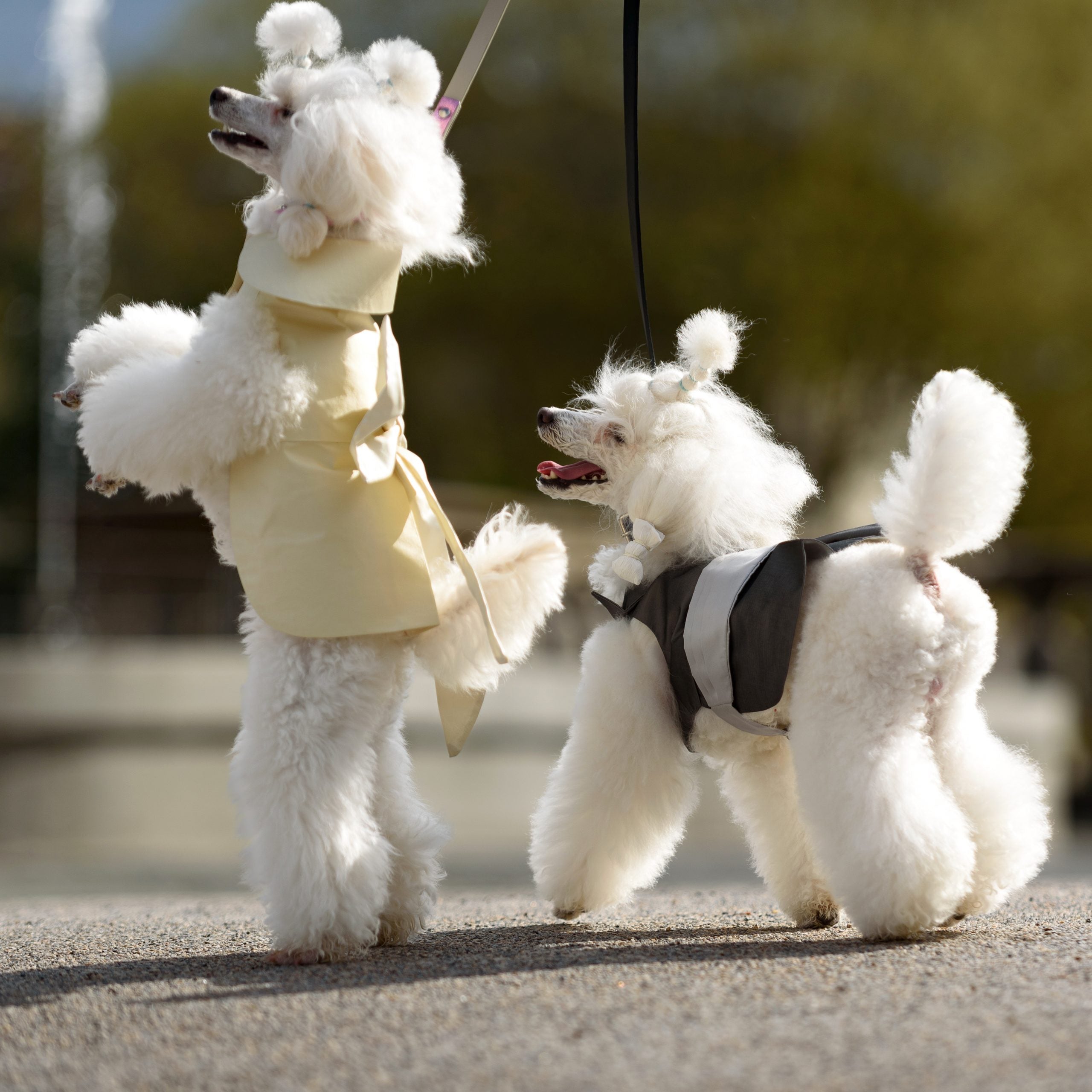 Silk & Satin Wedding