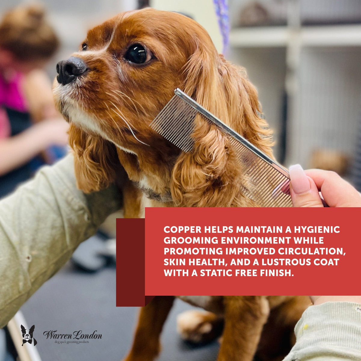 Groomers Everyday Comb