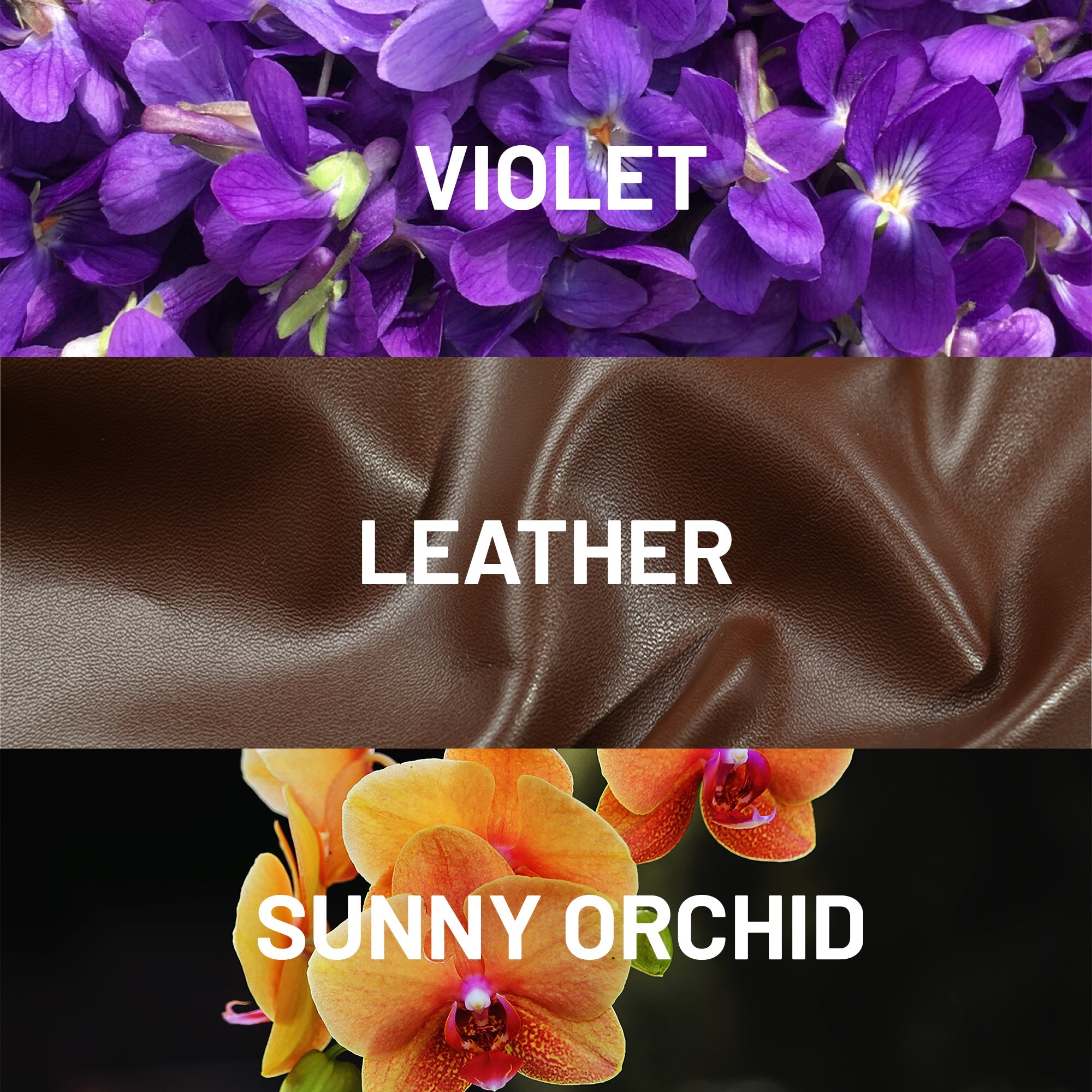 Hotel Collection Gemini Fragrance Oil