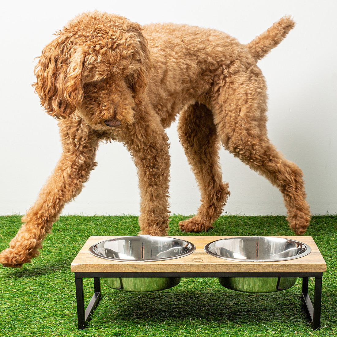 Wood & Metal Elevated Feeder premium pet product