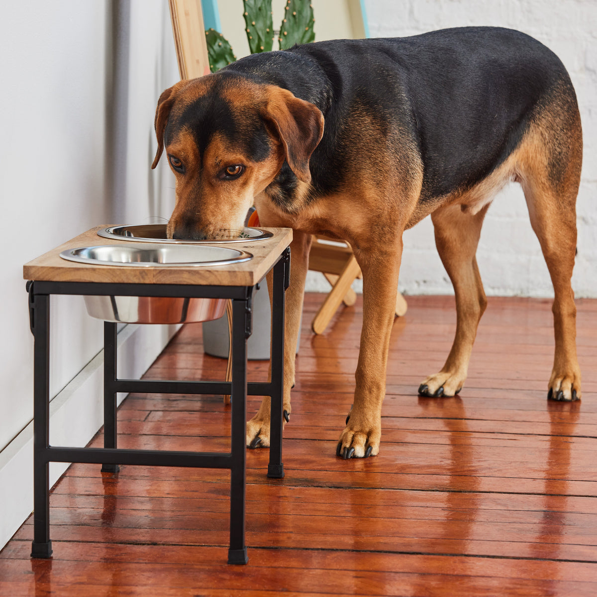 Wood & Metal Elevated Feeder premium pet product