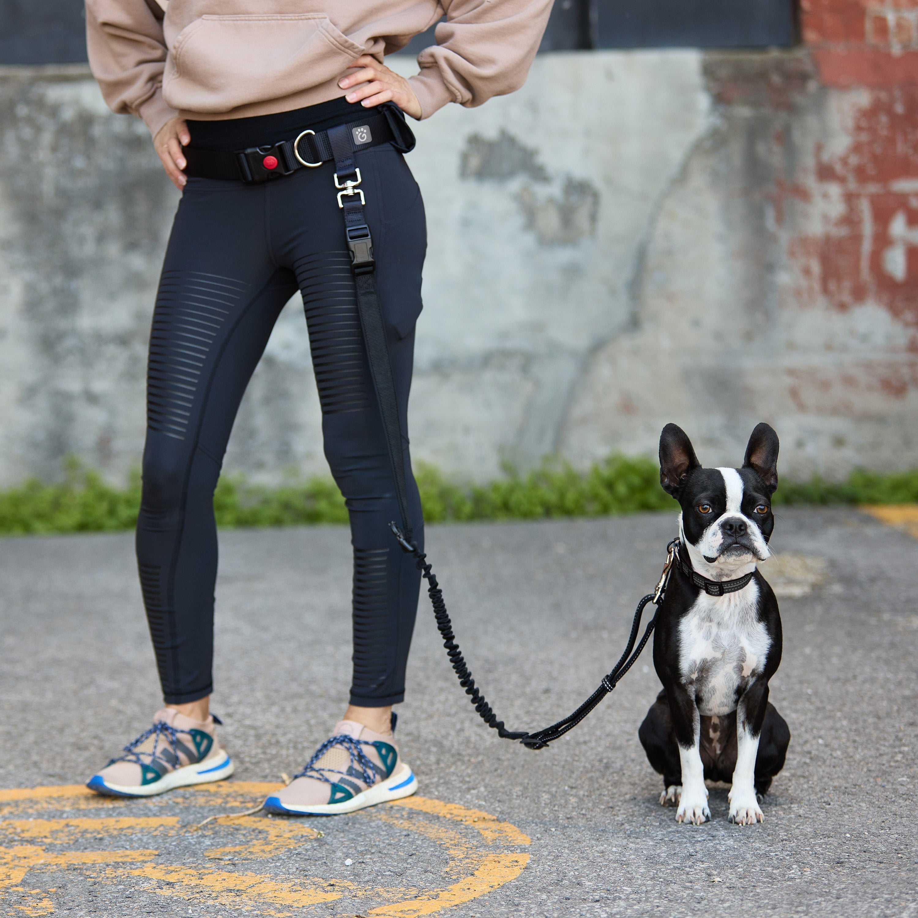 Waist Belt & Bungee Leash premium pet product