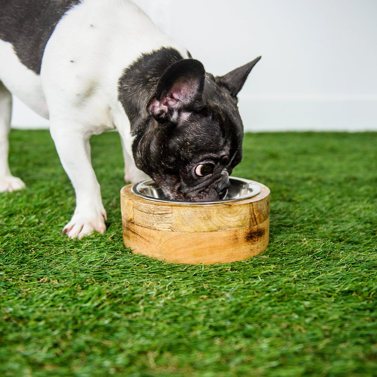 Mango Wood Bowl Single premium pet product