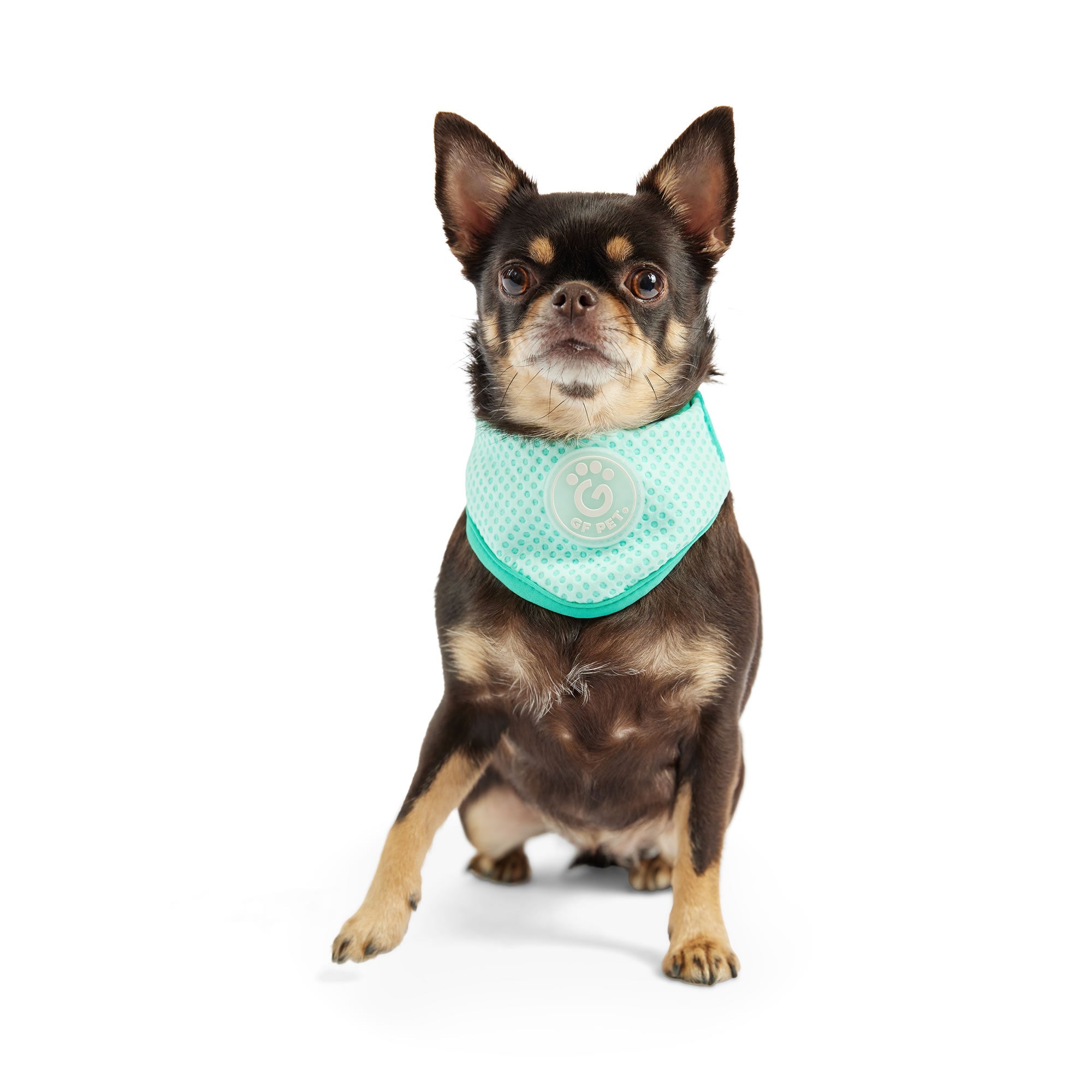 ICE BAND - Dog Cooling Bandana - Aqua premium pet product