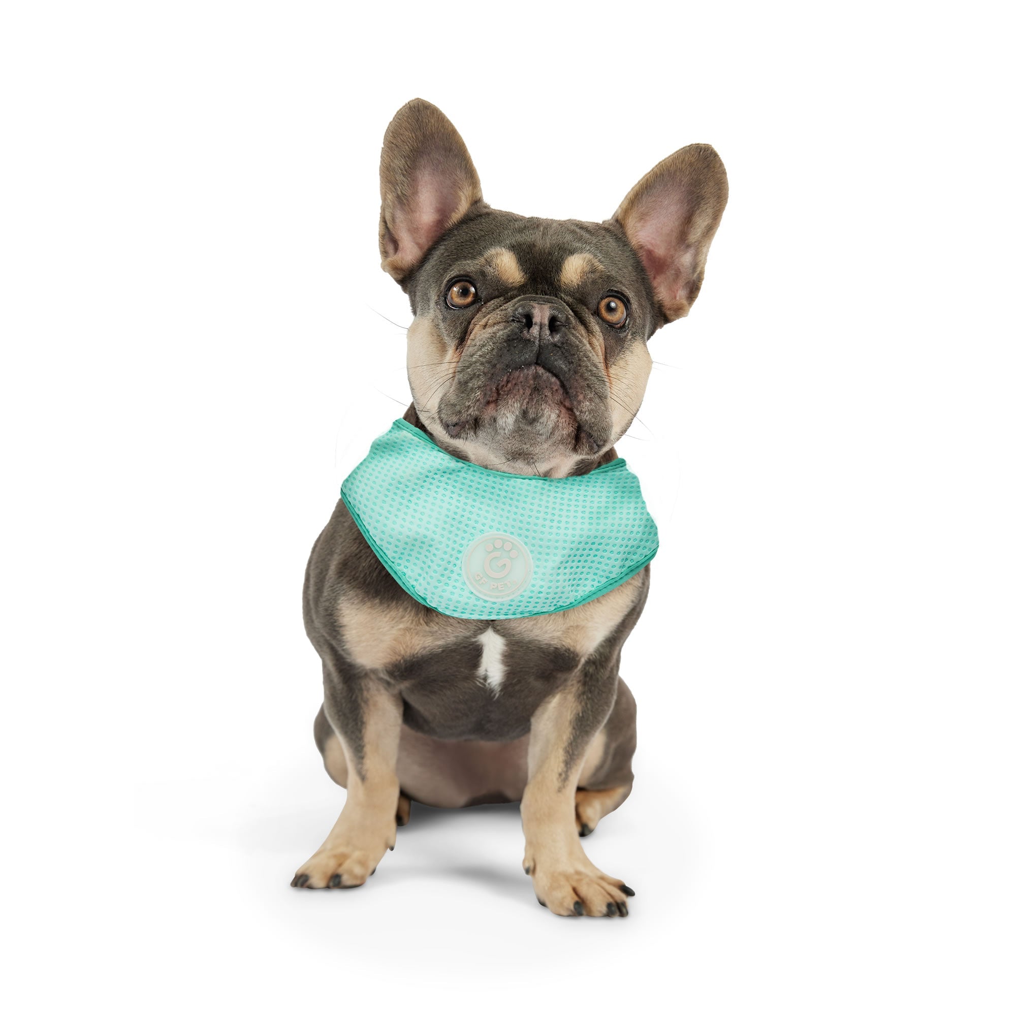 ICE BAND - Dog Cooling Bandana - Aqua premium pet product
