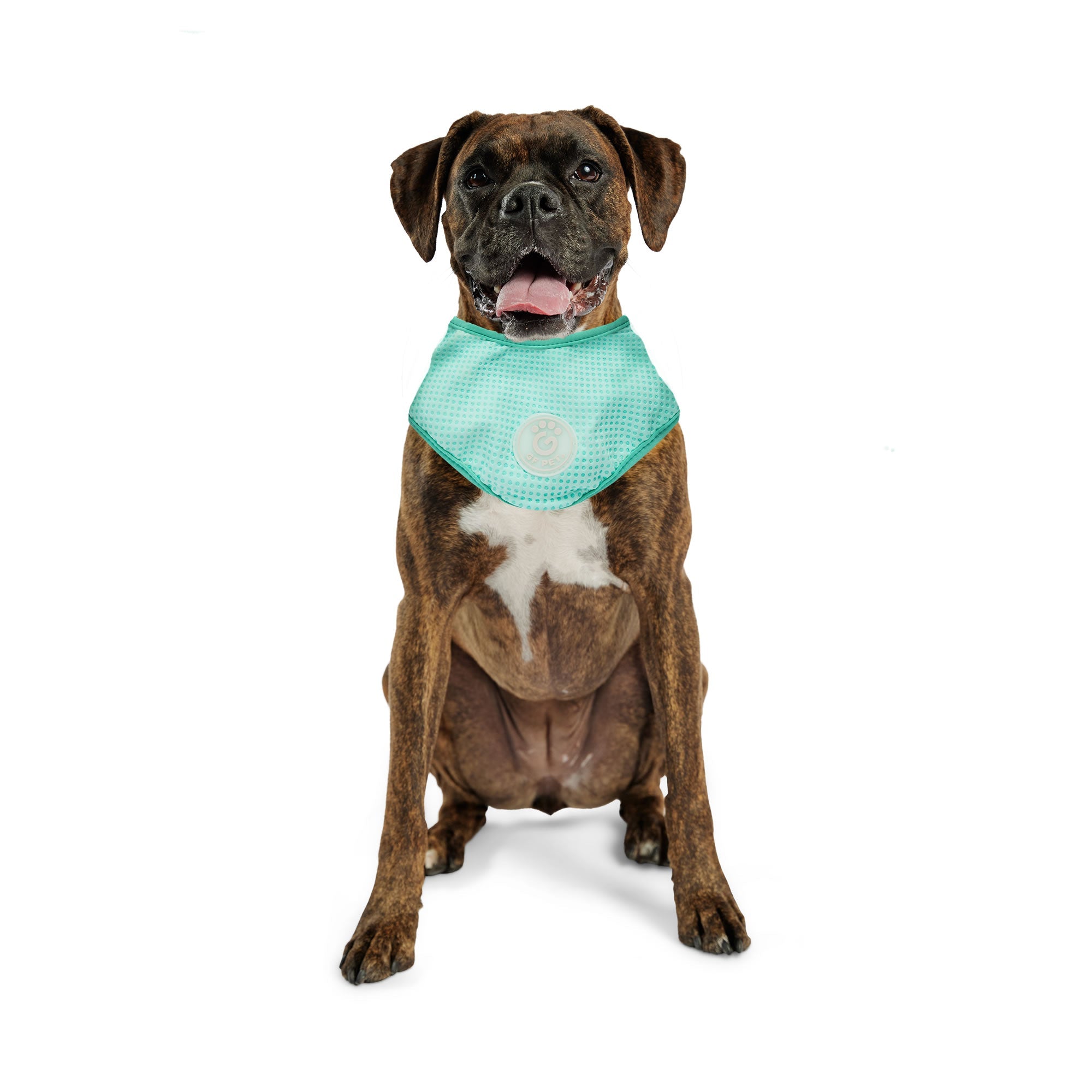 ICE BAND - Dog Cooling Bandana - Aqua premium pet product