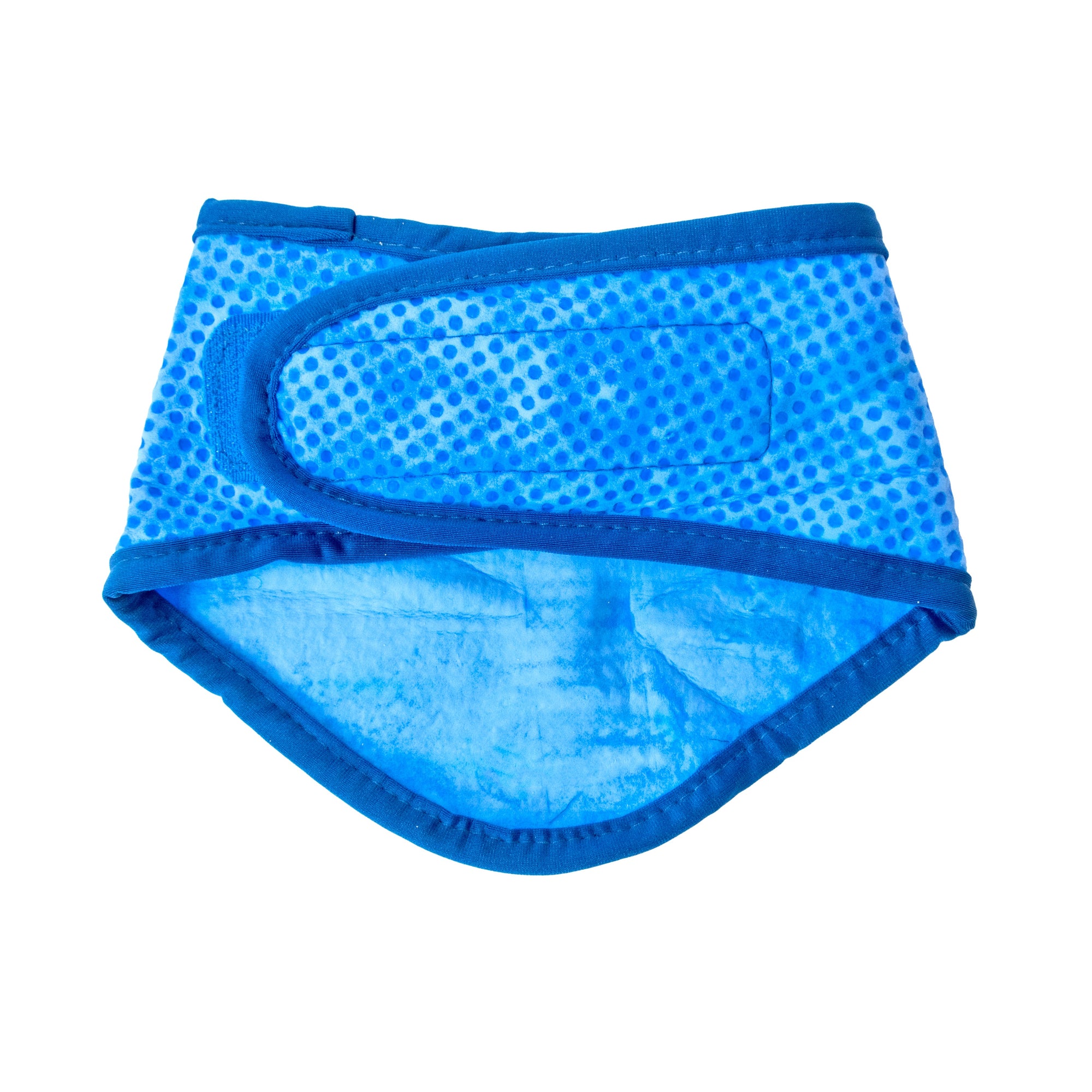 ICE BAND - Dog Cooling Bandana - Blue premium pet product