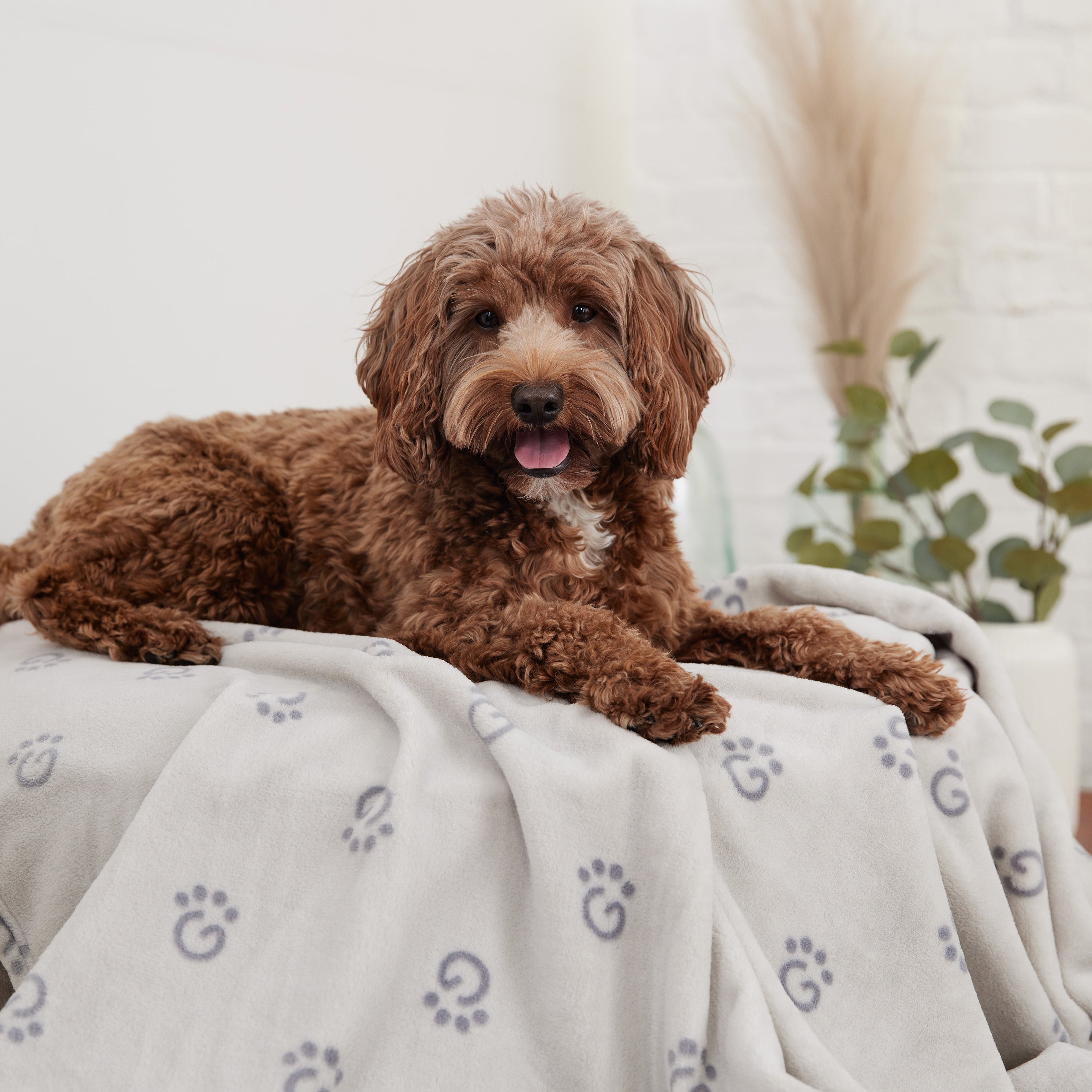 GF Pet Logo Blanket premium pet product