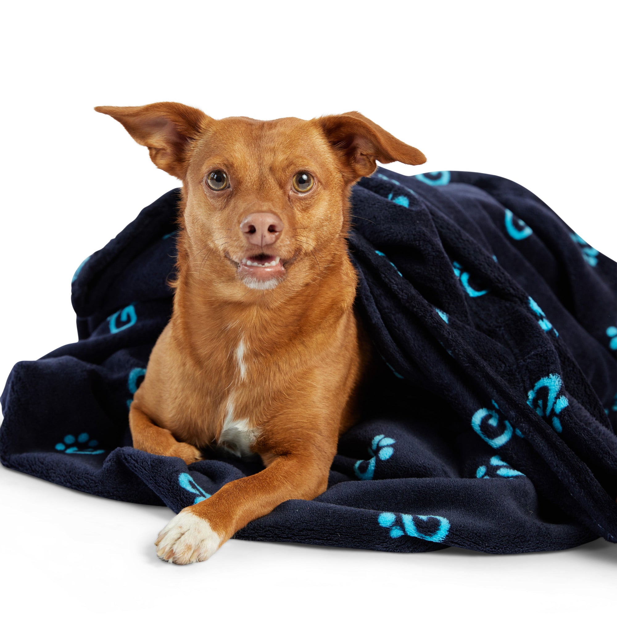 Logo Blanket - Navy premium pet product
