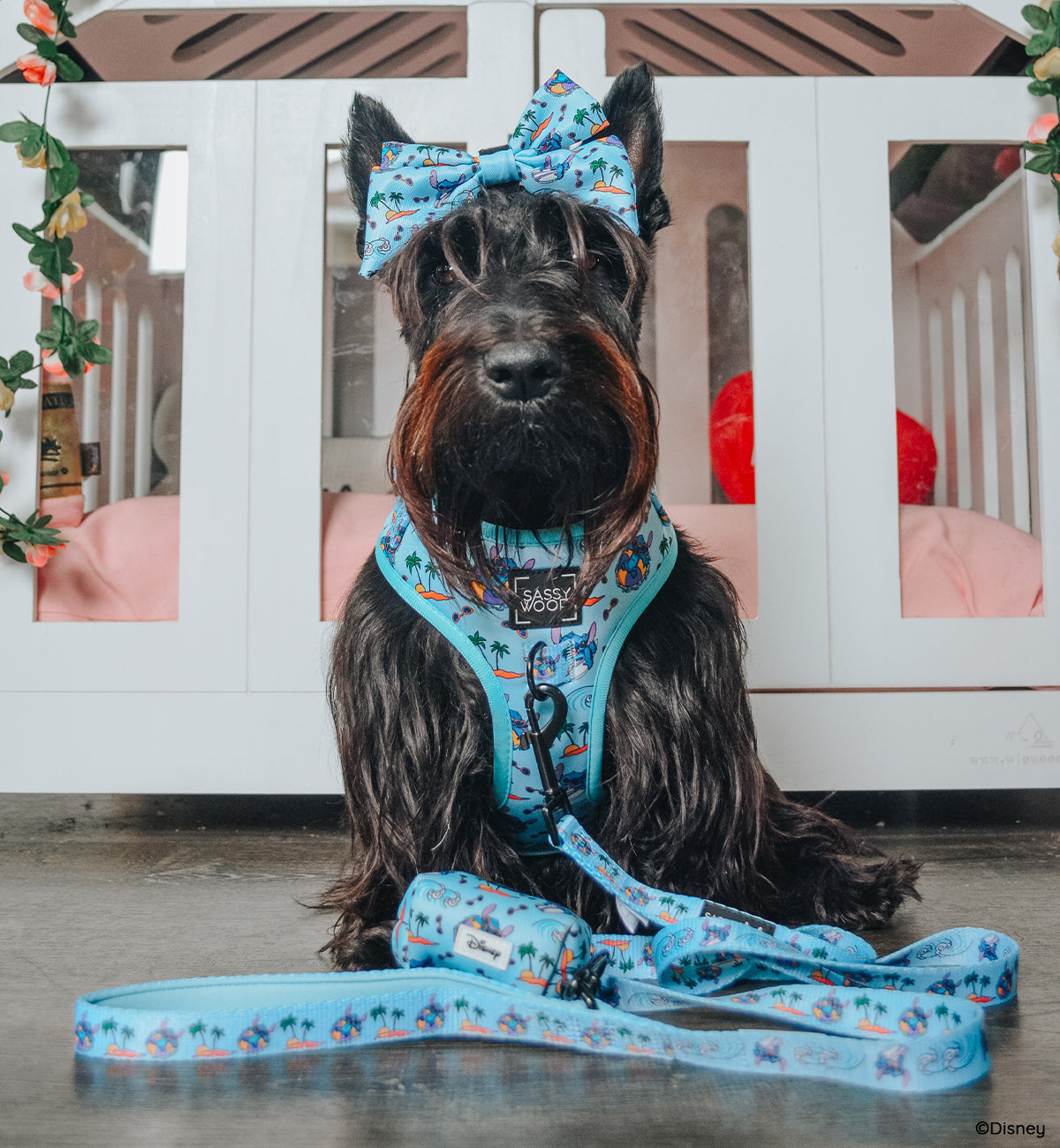 Dog Leash - Disneys Stitch