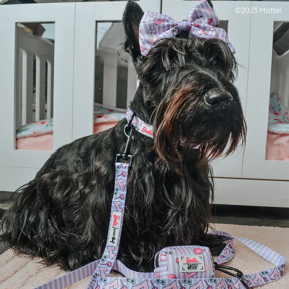 Dog Collar - BARBIE™ Closet Goals