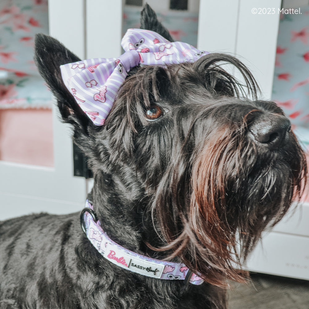 Dog Collar - BARBIE™ Closet Goals