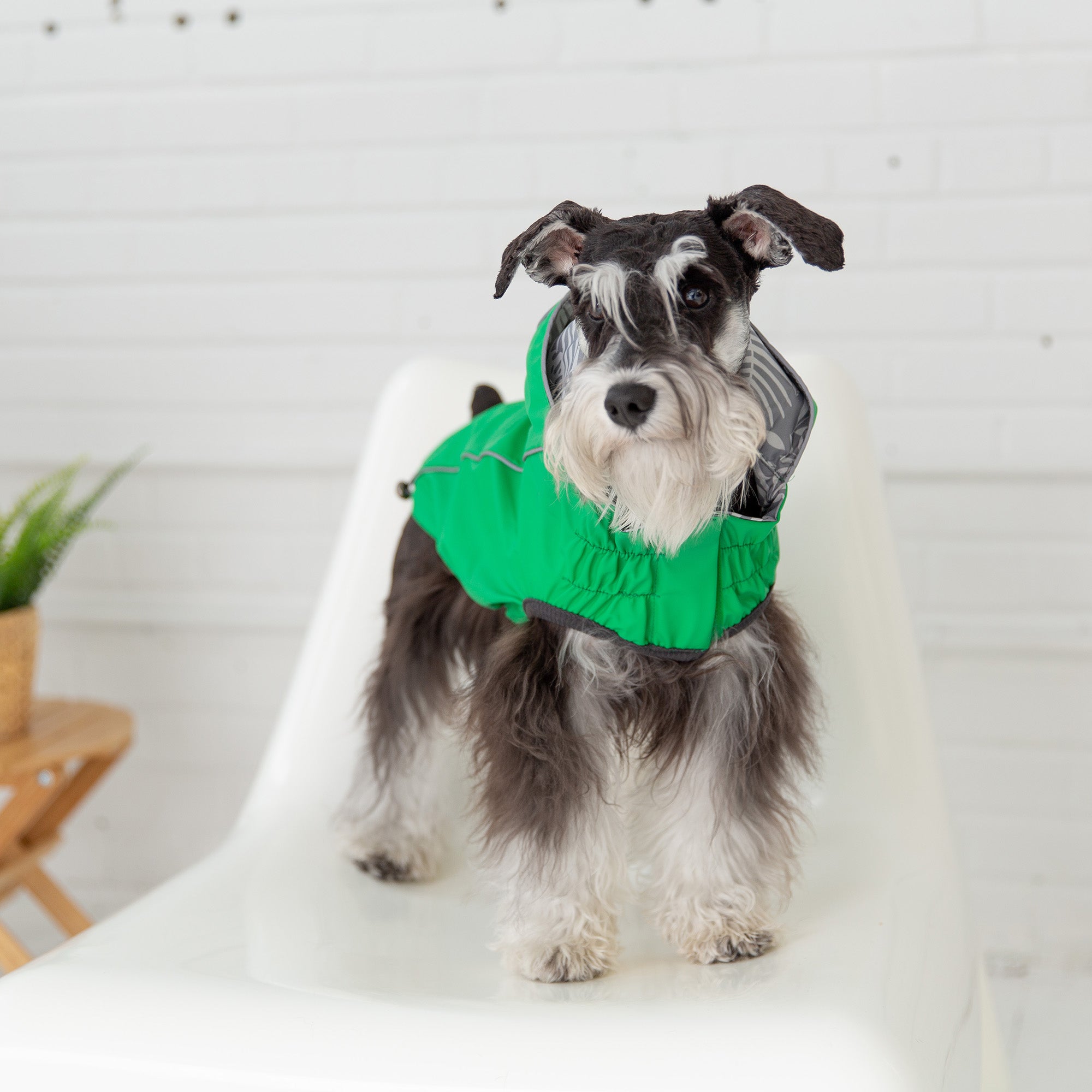 Reversible Elasto-Fit Raincoat - Green premium pet product