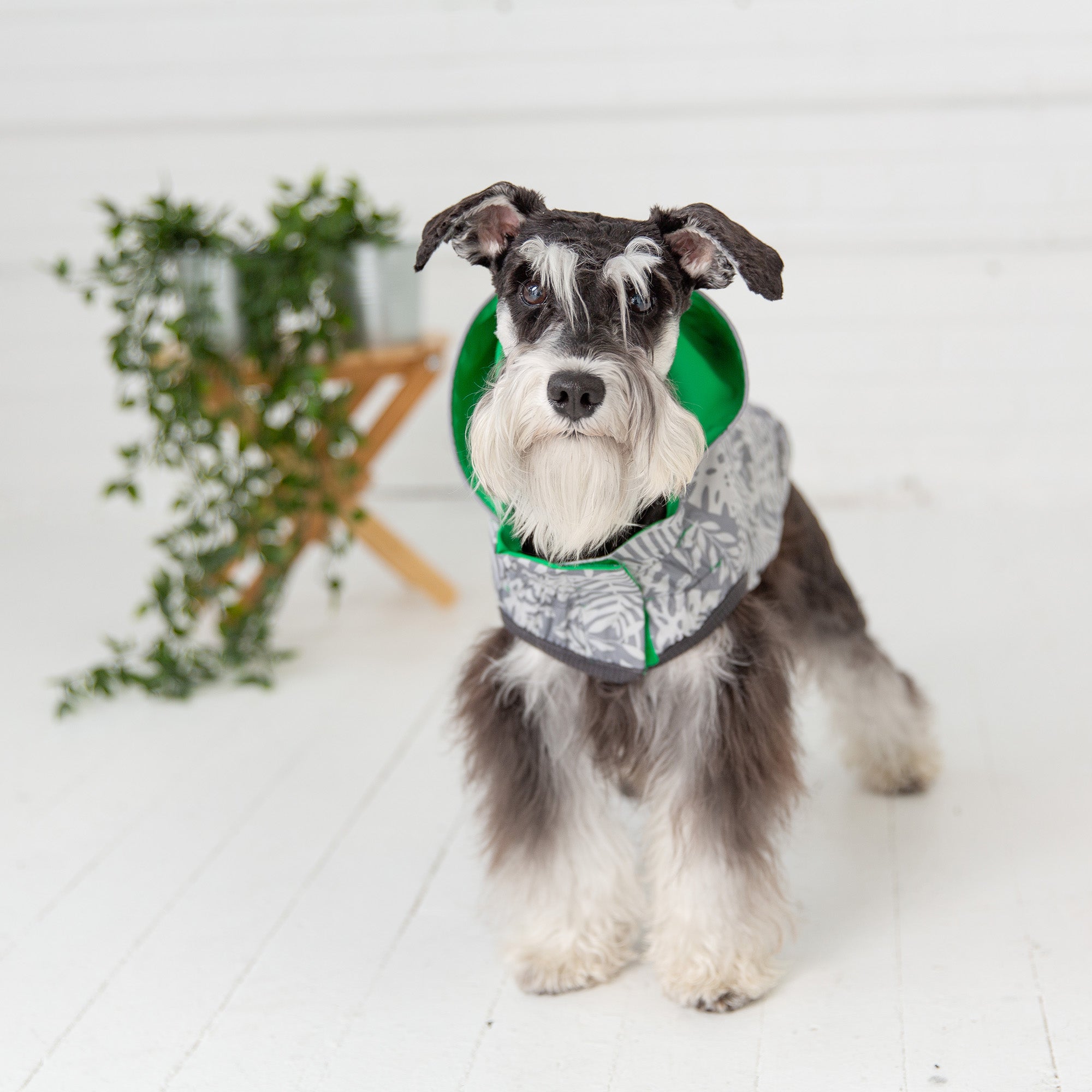 Reversible Elasto-Fit Raincoat - Green premium pet product